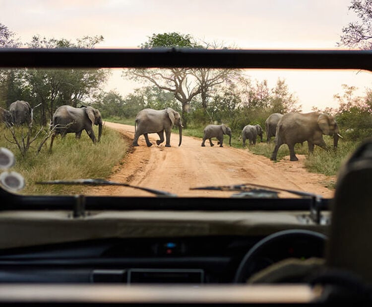 Safari: guida completa all&rsquo;abbigliamento