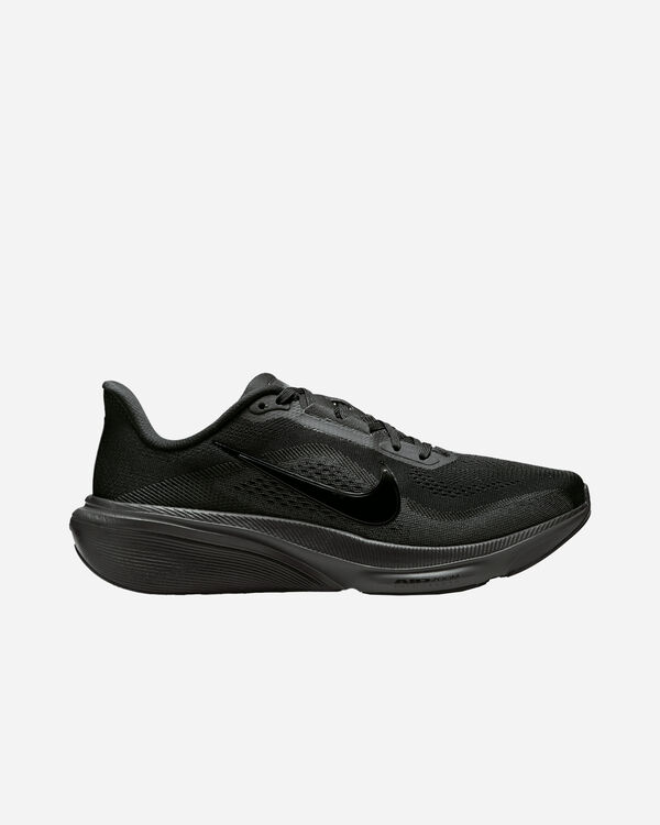 Pegasus 42 w