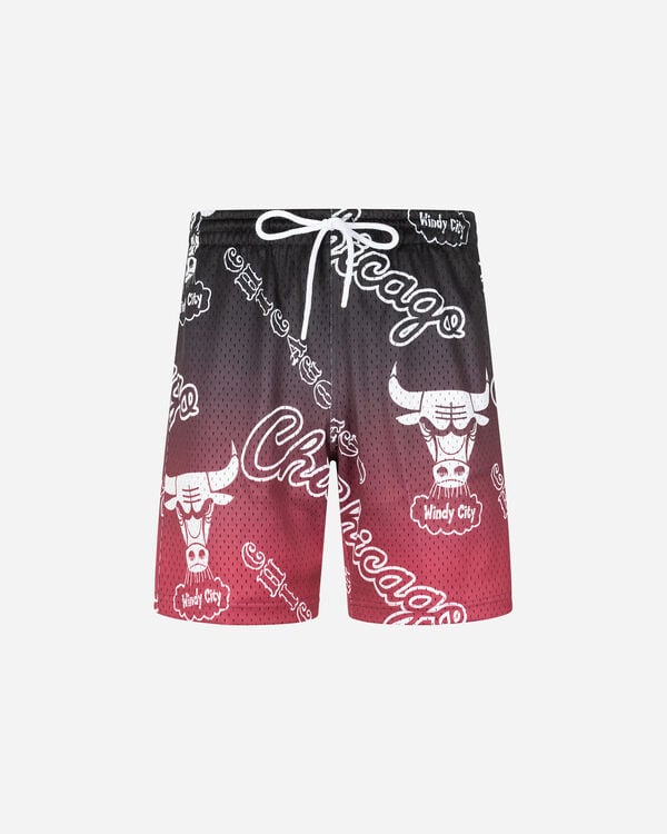 Chicago bulls energy m