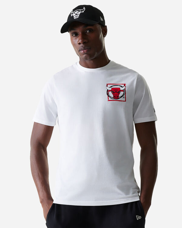 Photograph chicago bulls m
