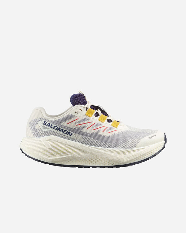 Aero blaze 3 grvl gtx w