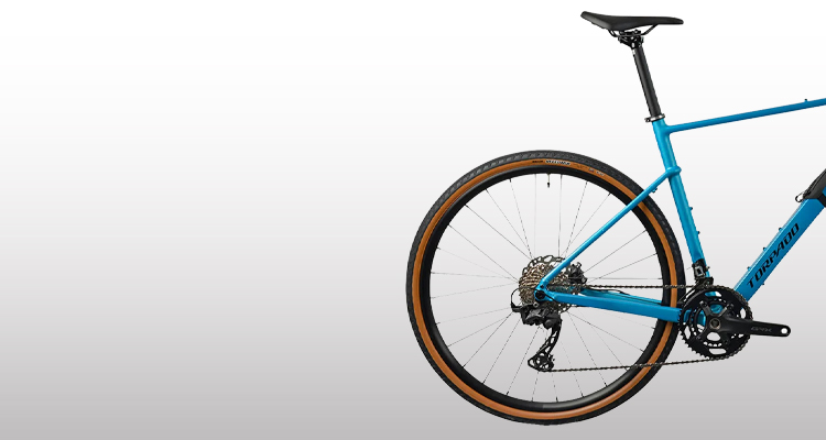 Bicicletta marchio Torpado