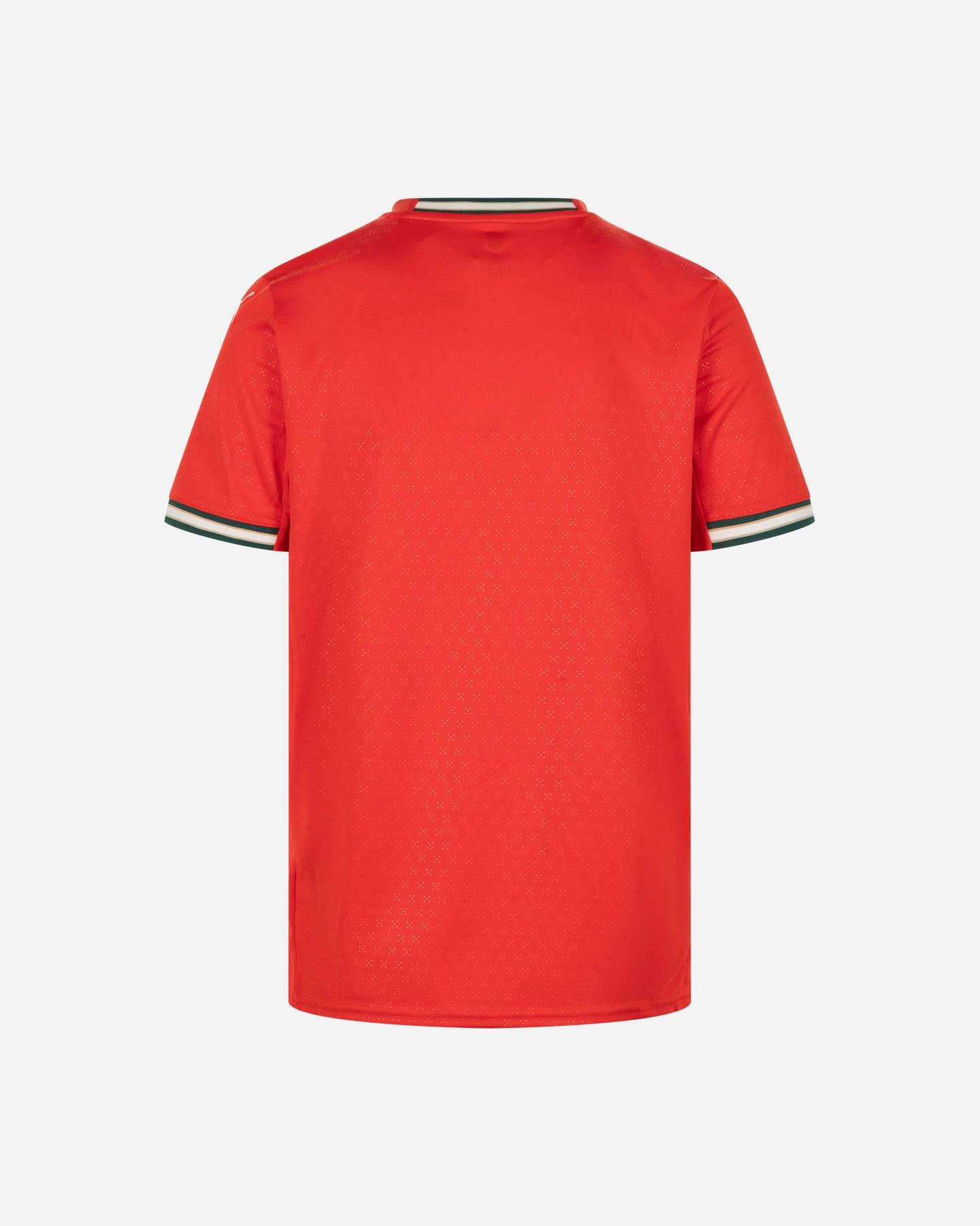 Maglia calcio ufficiale PUMA PORTOGALLO HOME REPLICA M - Color mix - 1 | Cisalfa Sport