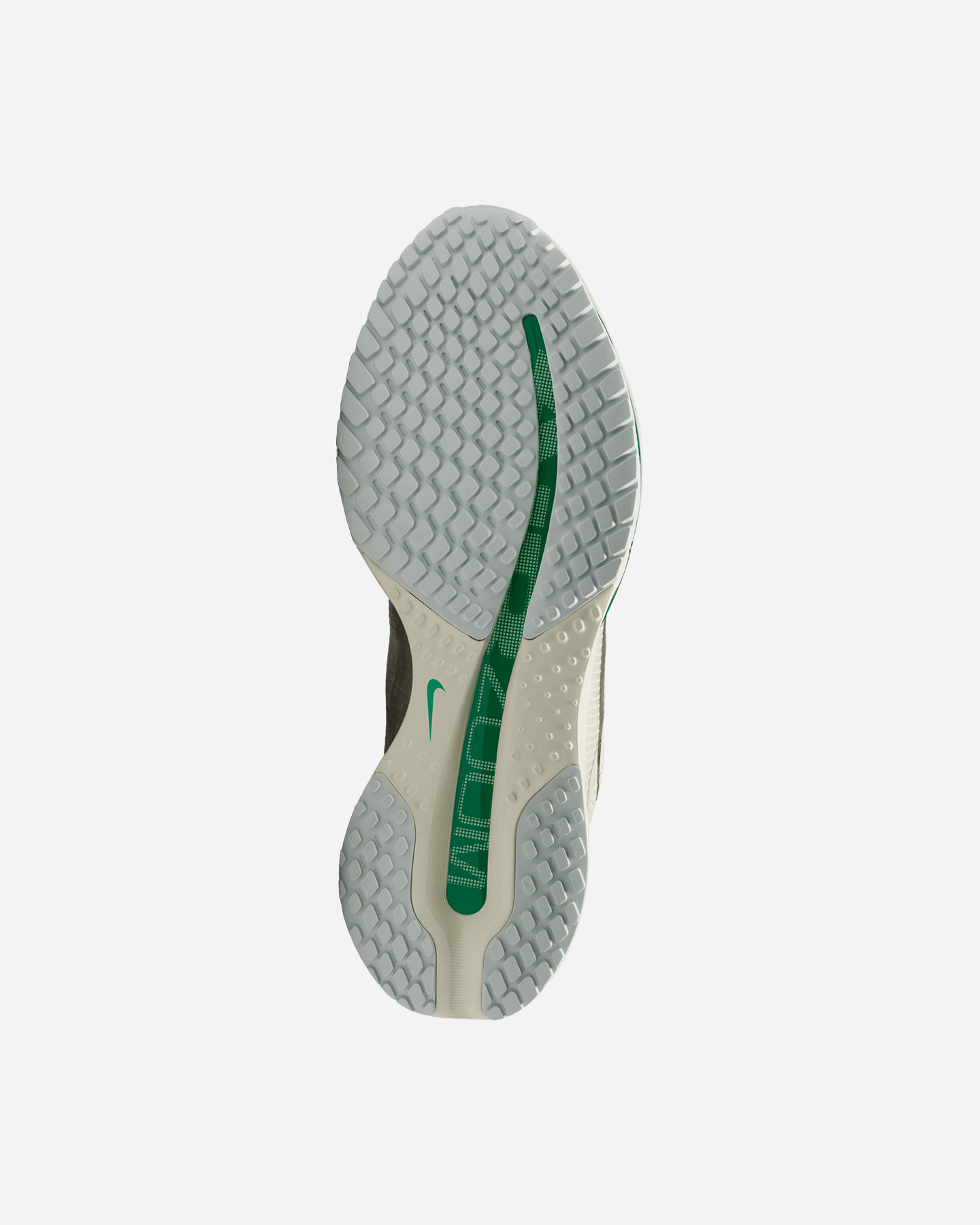 Scarpe running NIKE PEGASUS PREMIUM W - Color mix - 2 | Cisalfa Sport