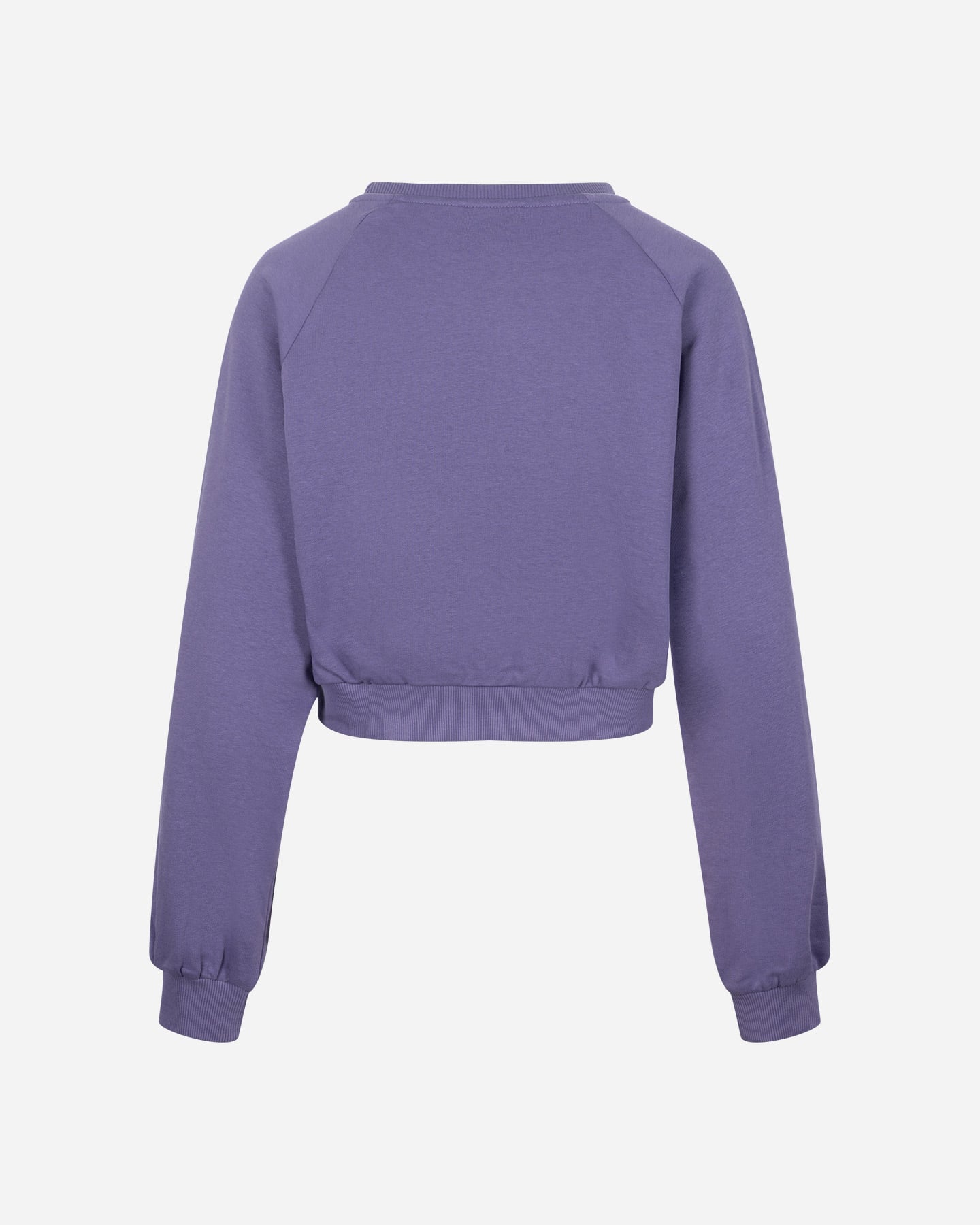 Felpa MIA M FUTURE LINE W - Viola - 1 | Cisalfa Sport