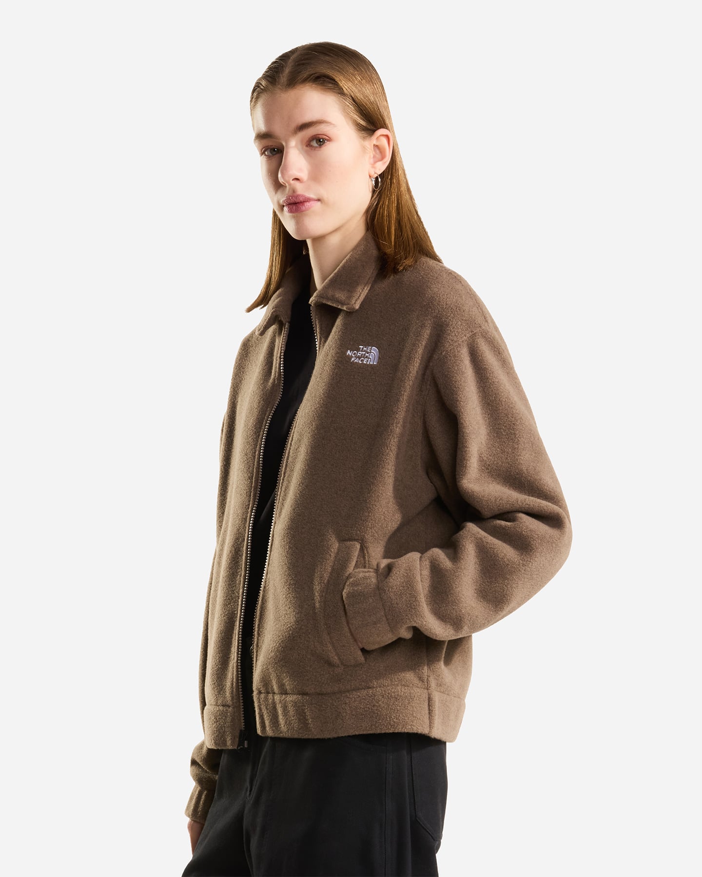 Pile THE NORTH FACE COLLARED W - Marrone - 1 | Cisalfa Sport