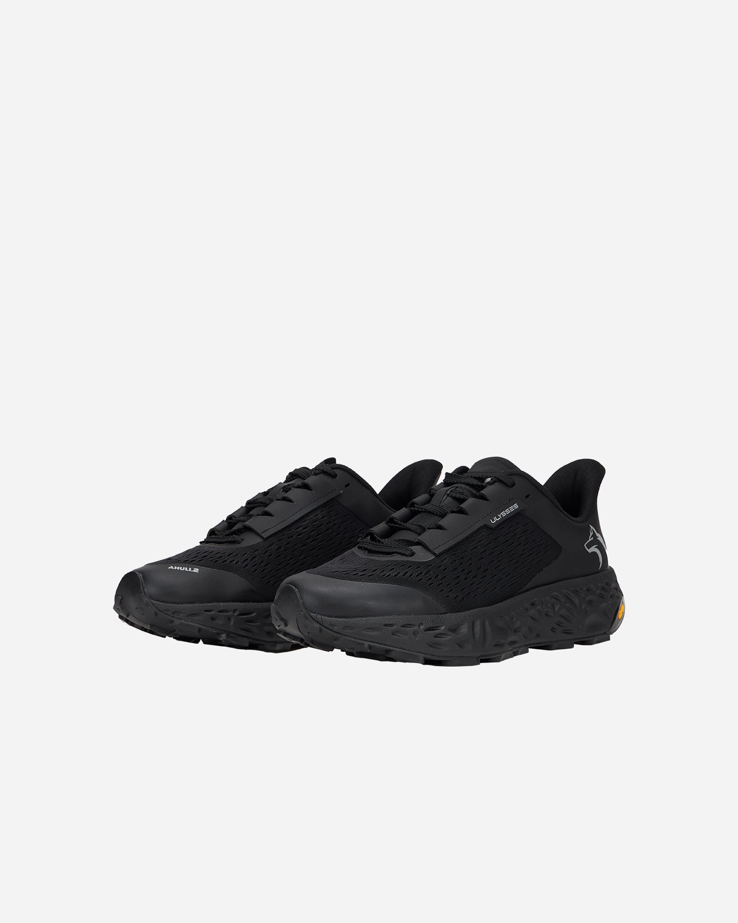 Scarpe trail ULYSSES AHULI 2 M - Nero - 1 | Cisalfa Sport