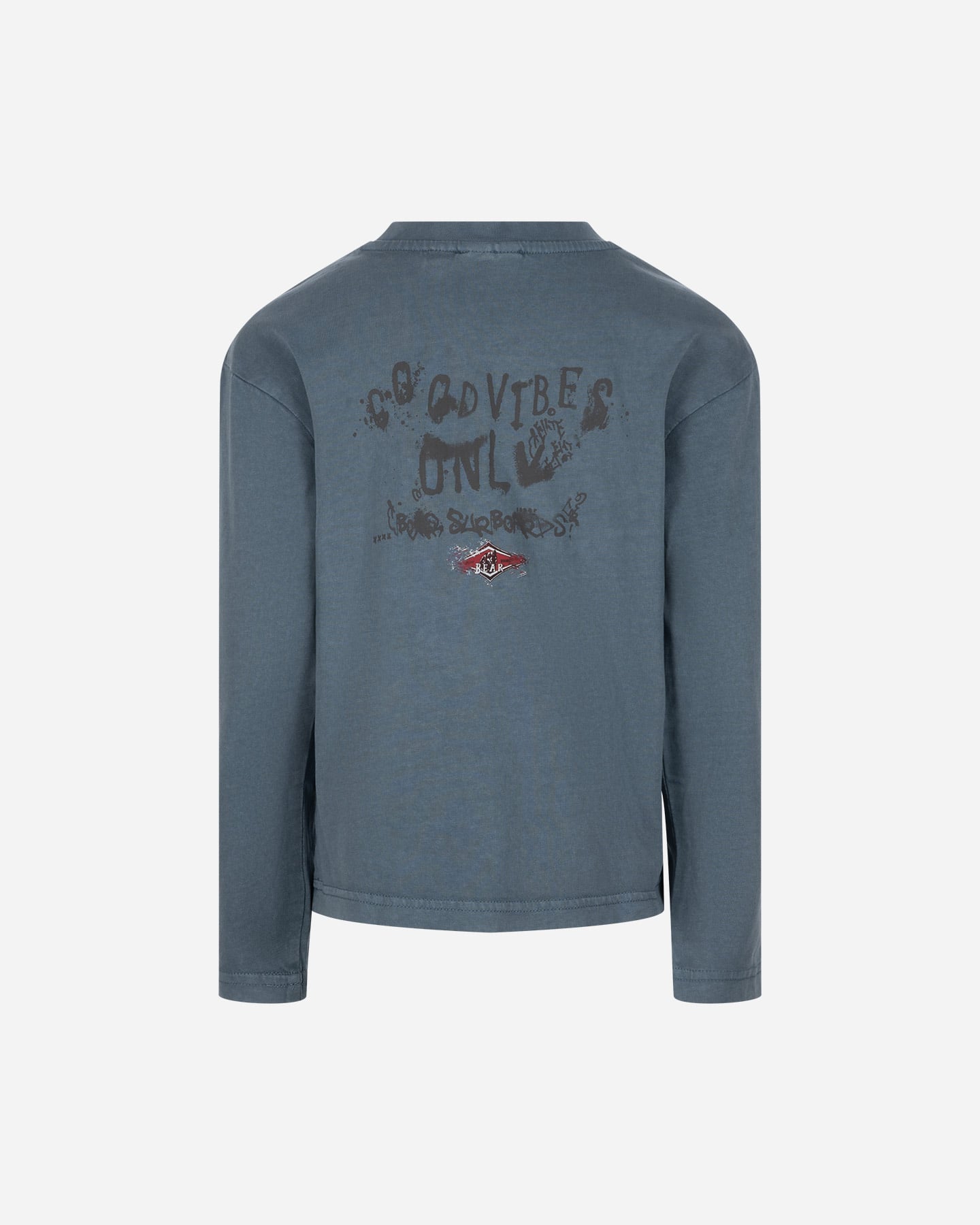 T-shirt BEAR SHORE BREAK JR - Blu - 1 | Cisalfa Sport