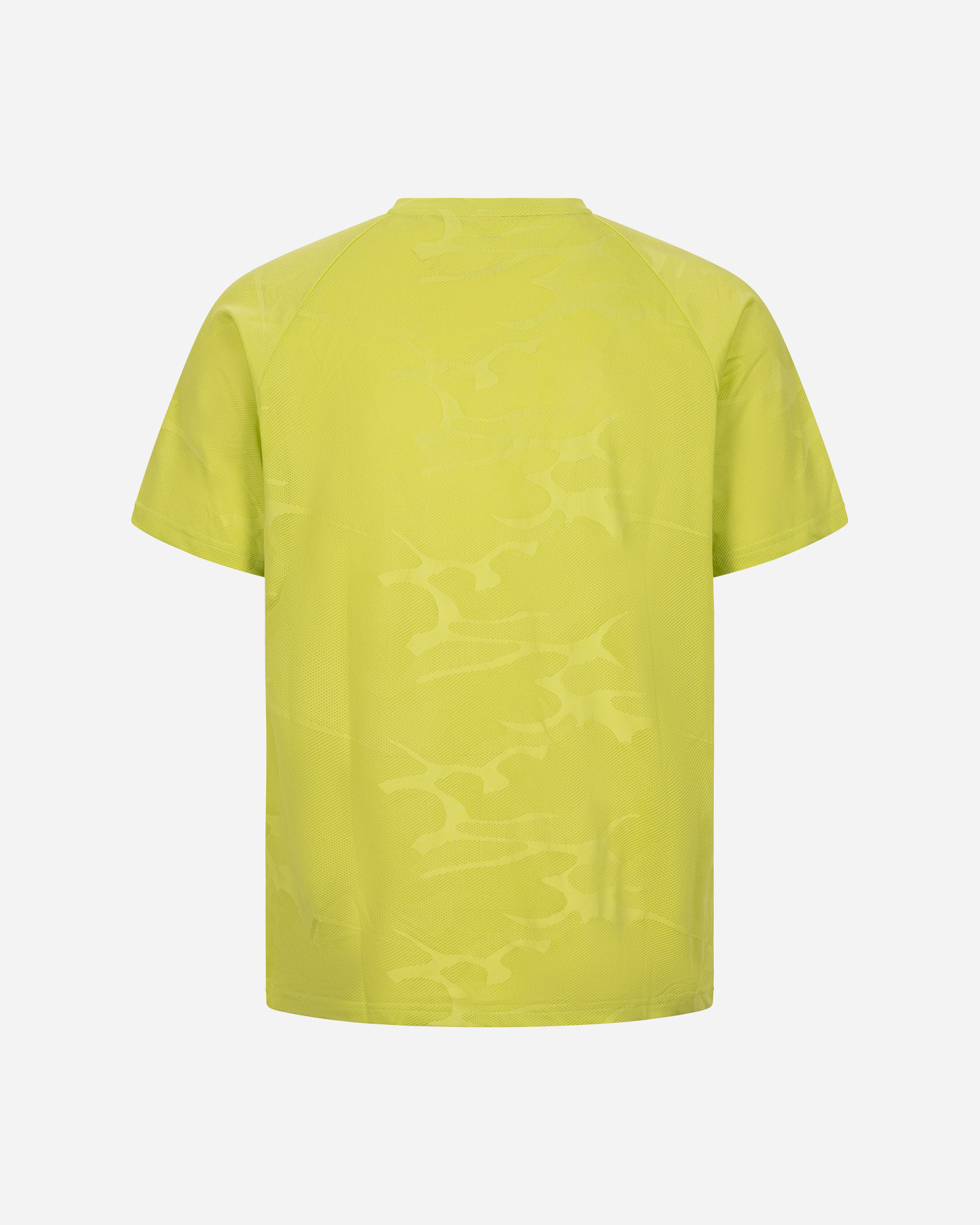 T-shirt training ARENA ADVANCE M - Verde - 1 | Cisalfa Sport
