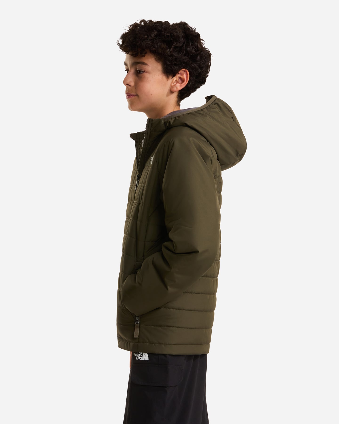 Giubbotto THE NORTH FACE NEVER STOP JR - Verde - 3 | Cisalfa Sport