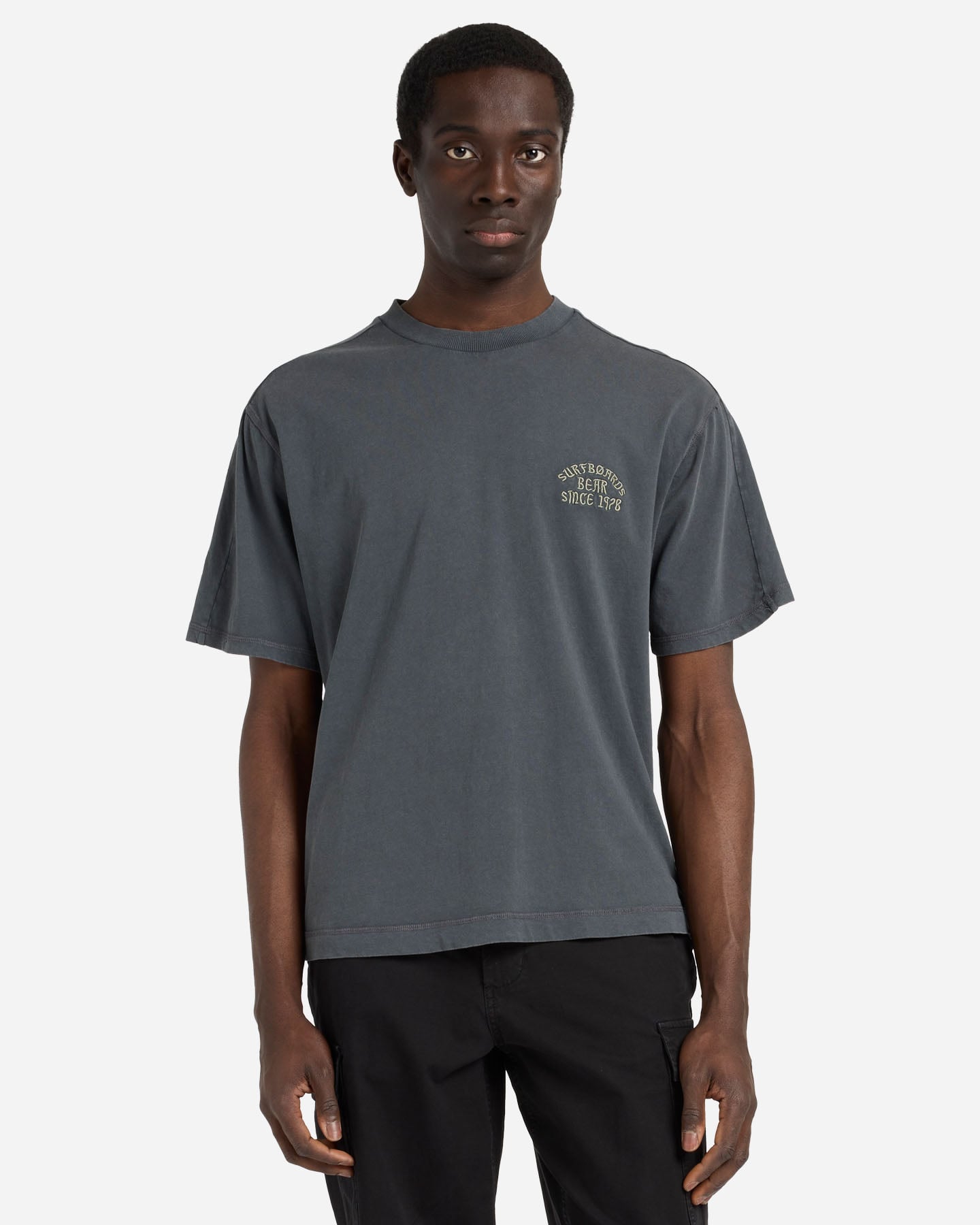 T-shirt BEAR WAVES AFTER WAVES M - Grigio - 1 | Cisalfa Sport