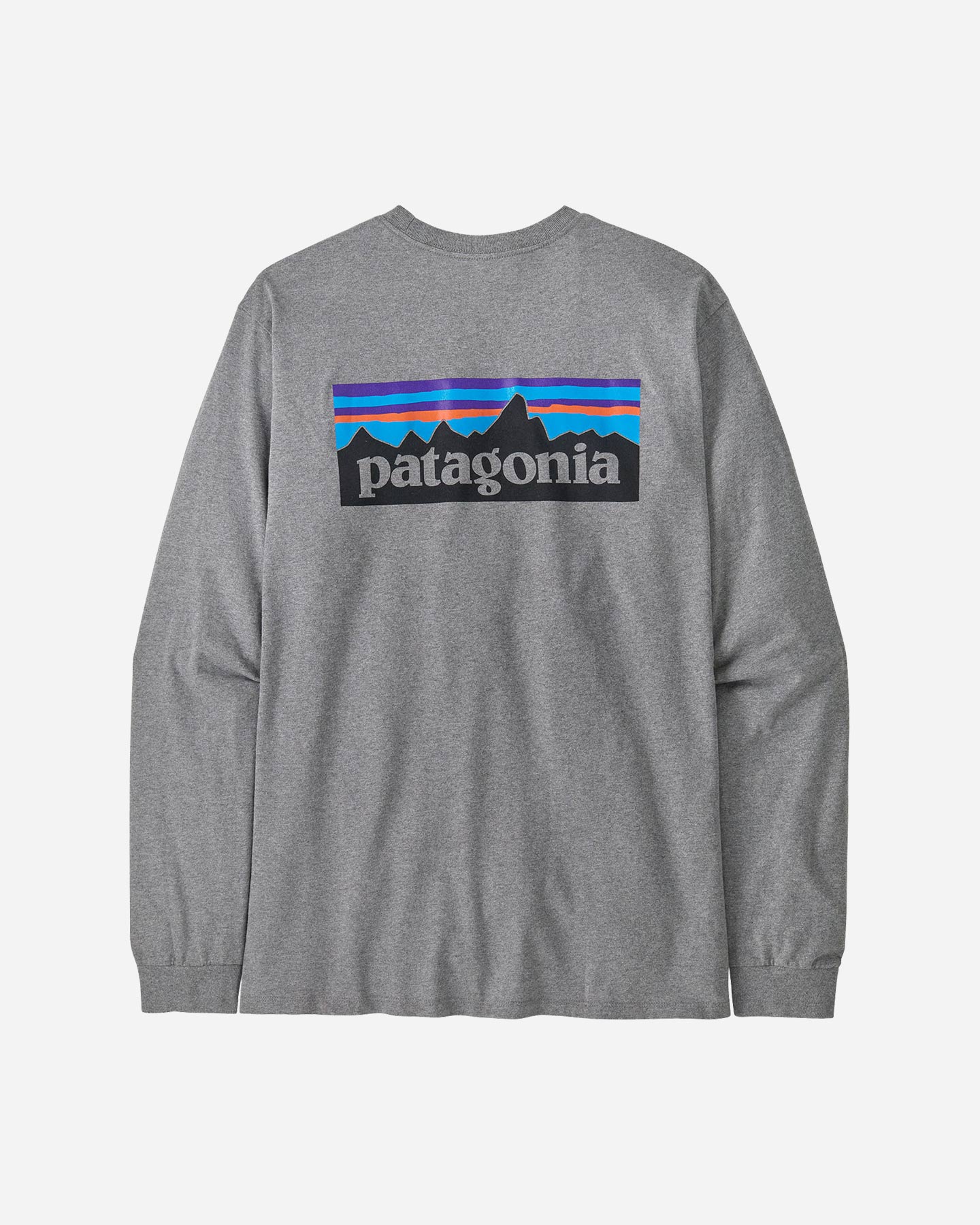 T-shirt PATAGONIA P-6 LOGO M - Grigio - 2 | Cisalfa Sport