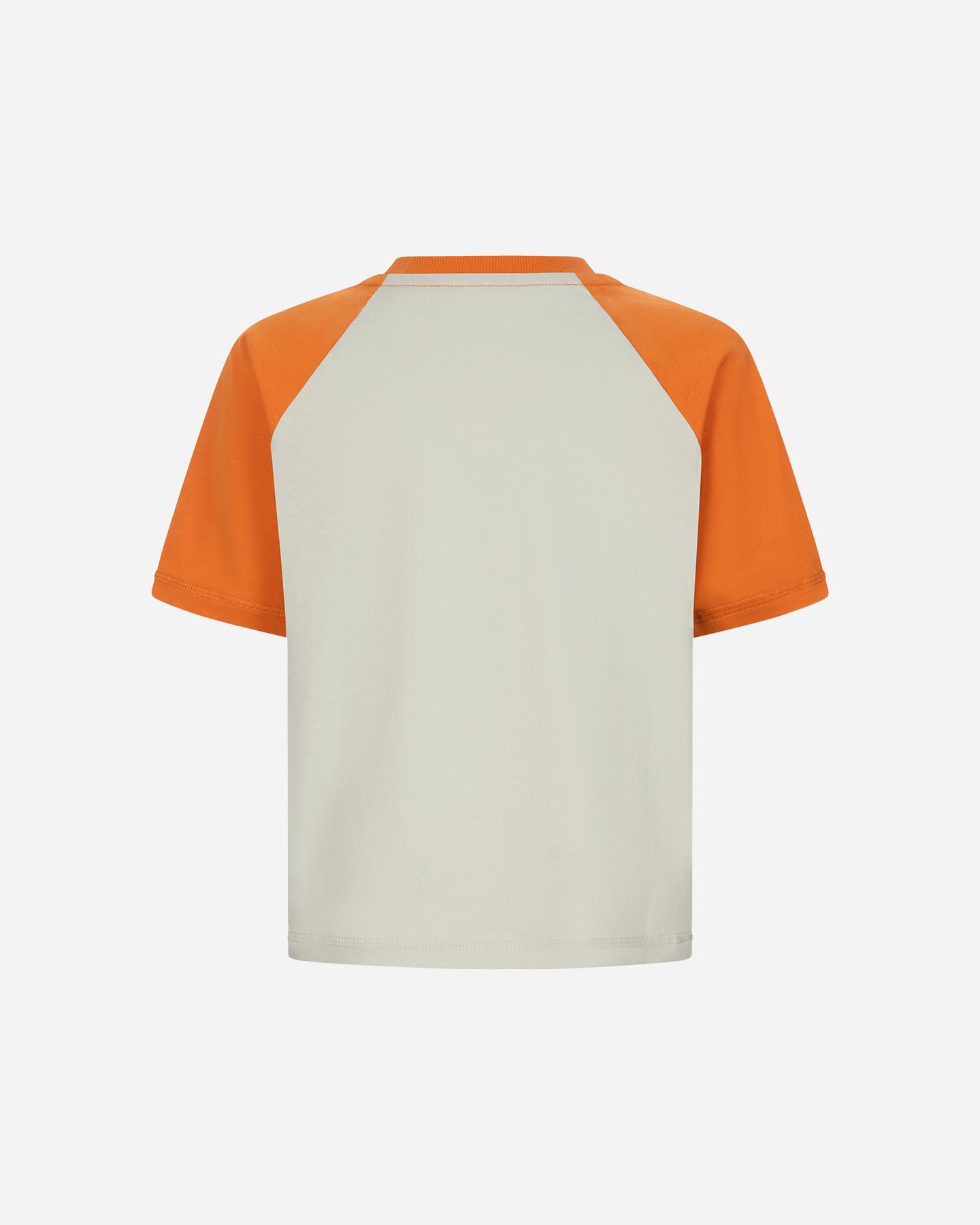 T-shirt BEAR WAVES AFTER WAVES JR - Beige - 1 | Cisalfa Sport