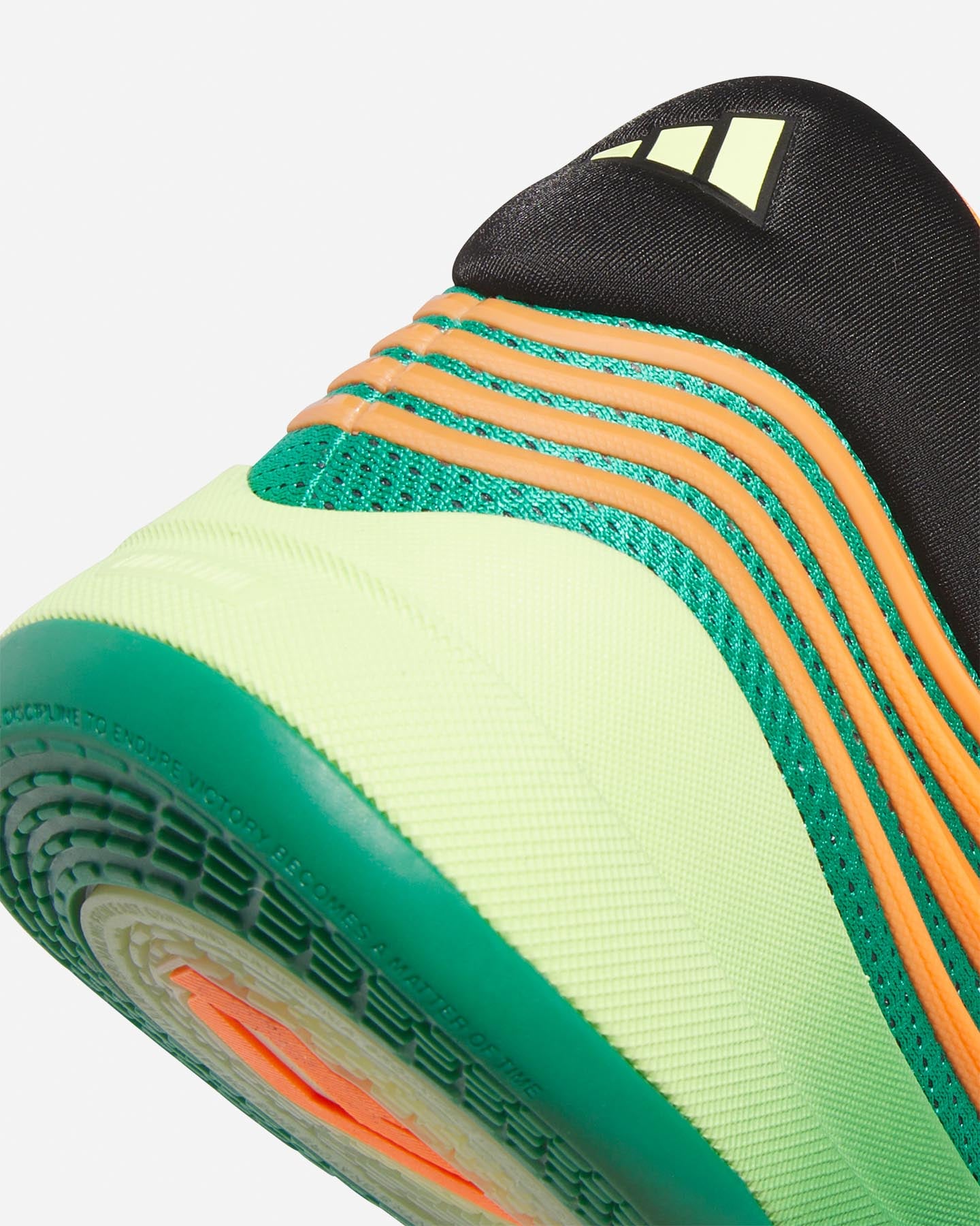 Scarpe basket ADIDAS DAME X M - Verde - 4 | Cisalfa Sport