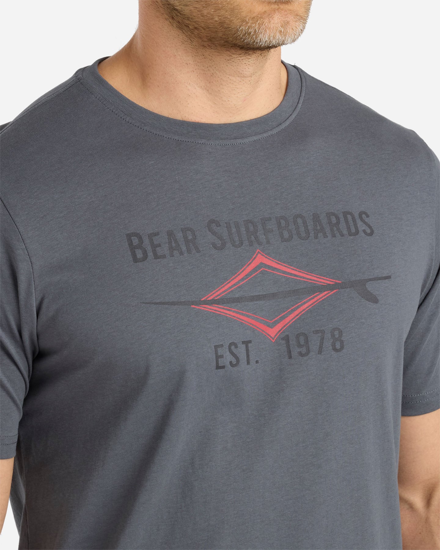 T-shirt BEAR WAVES AFTER WAVES M - Grigio - 5 | Cisalfa Sport