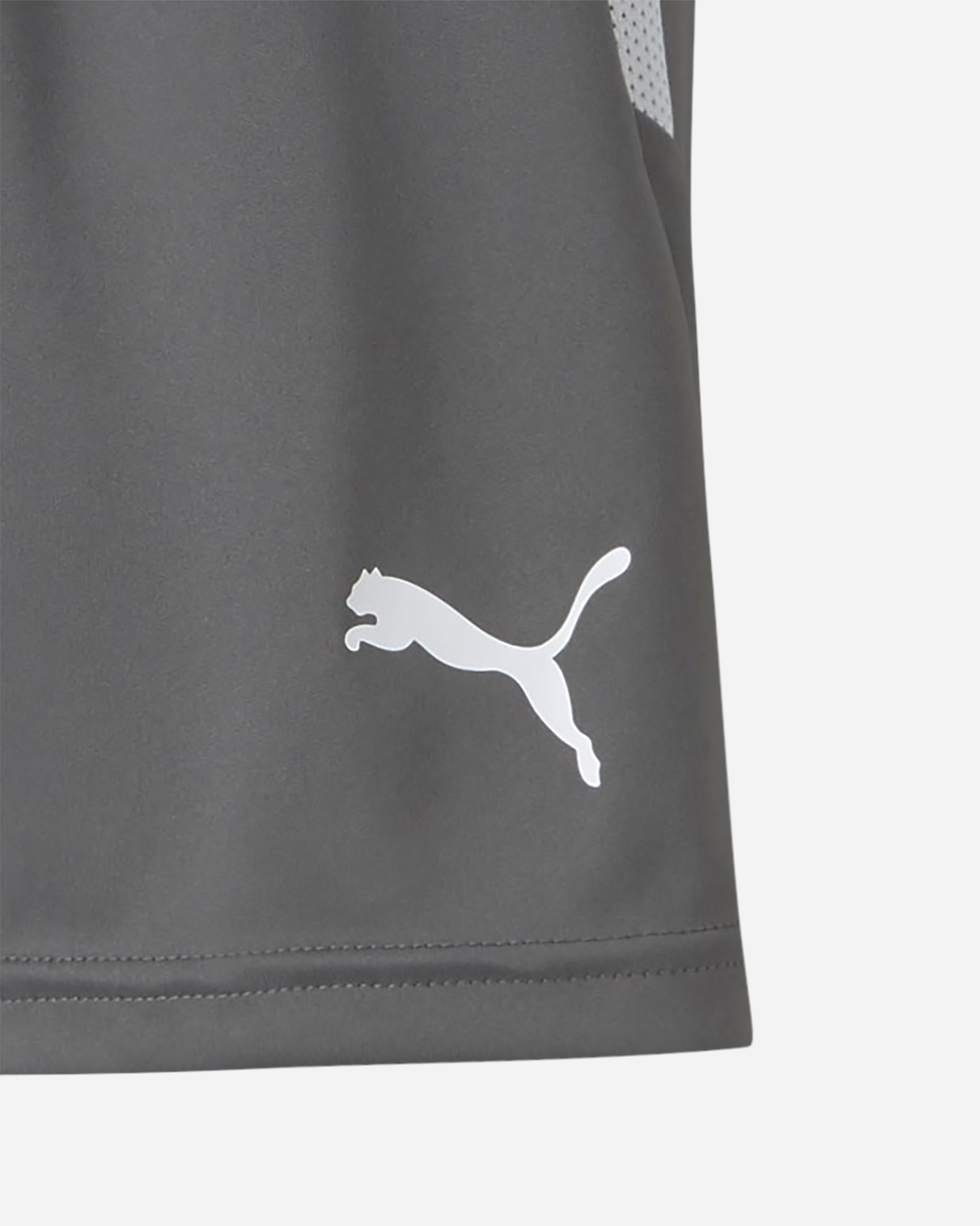 Pantaloncini PUMA LIGA JR - Grigio - 2 | Cisalfa Sport