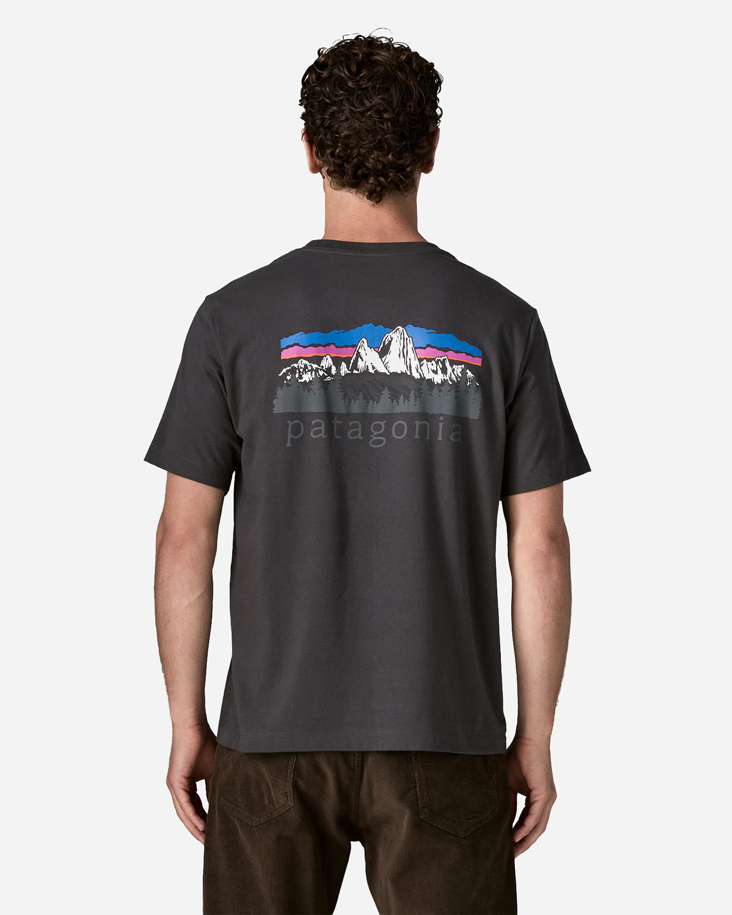 T-shirt PATAGONIA FITZ ROY FOOTHILLS M - Nero - 2 | Cisalfa Sport
