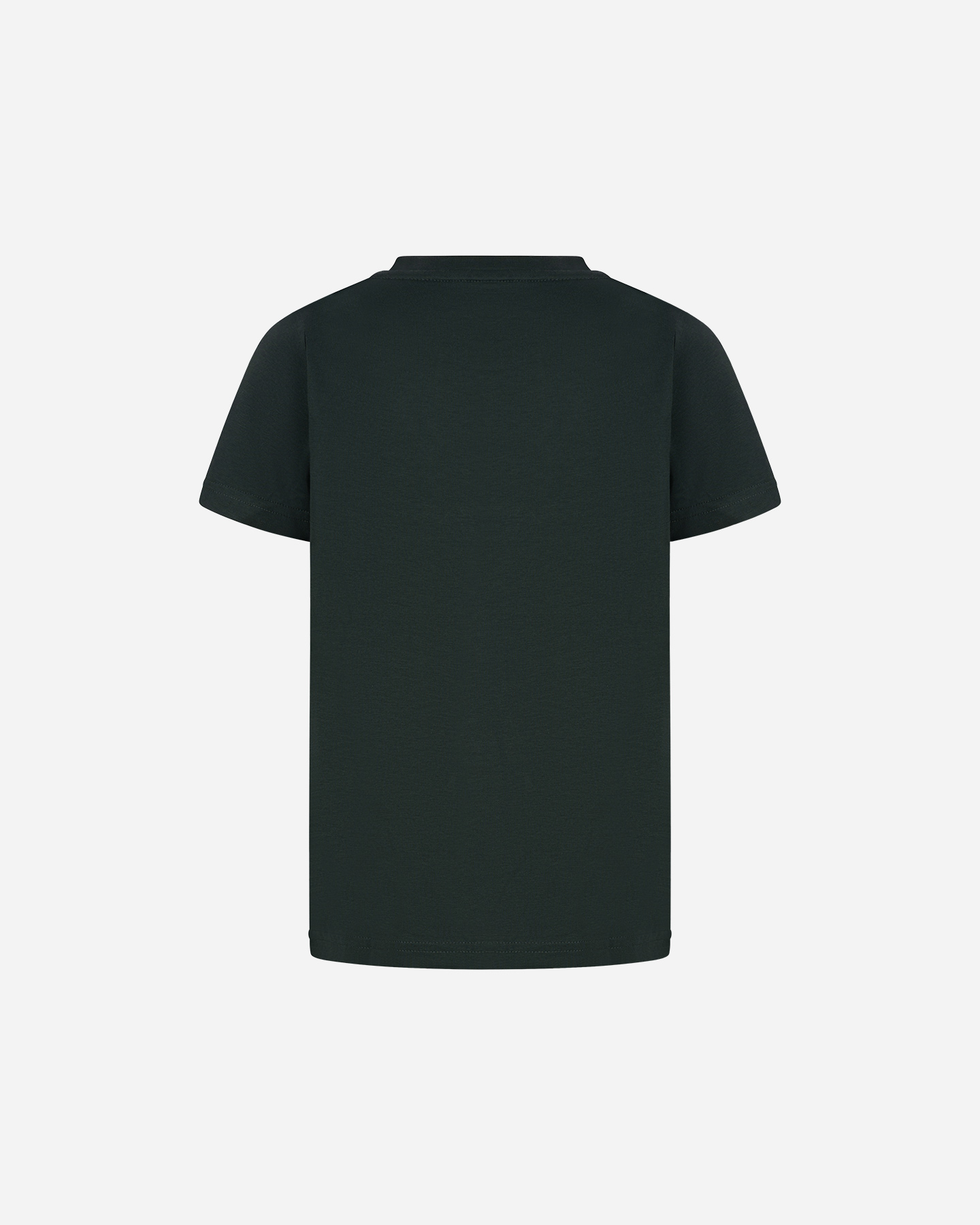 T-shirt BEAR ICONIC SURF JR - Verde - 1 | Cisalfa Sport