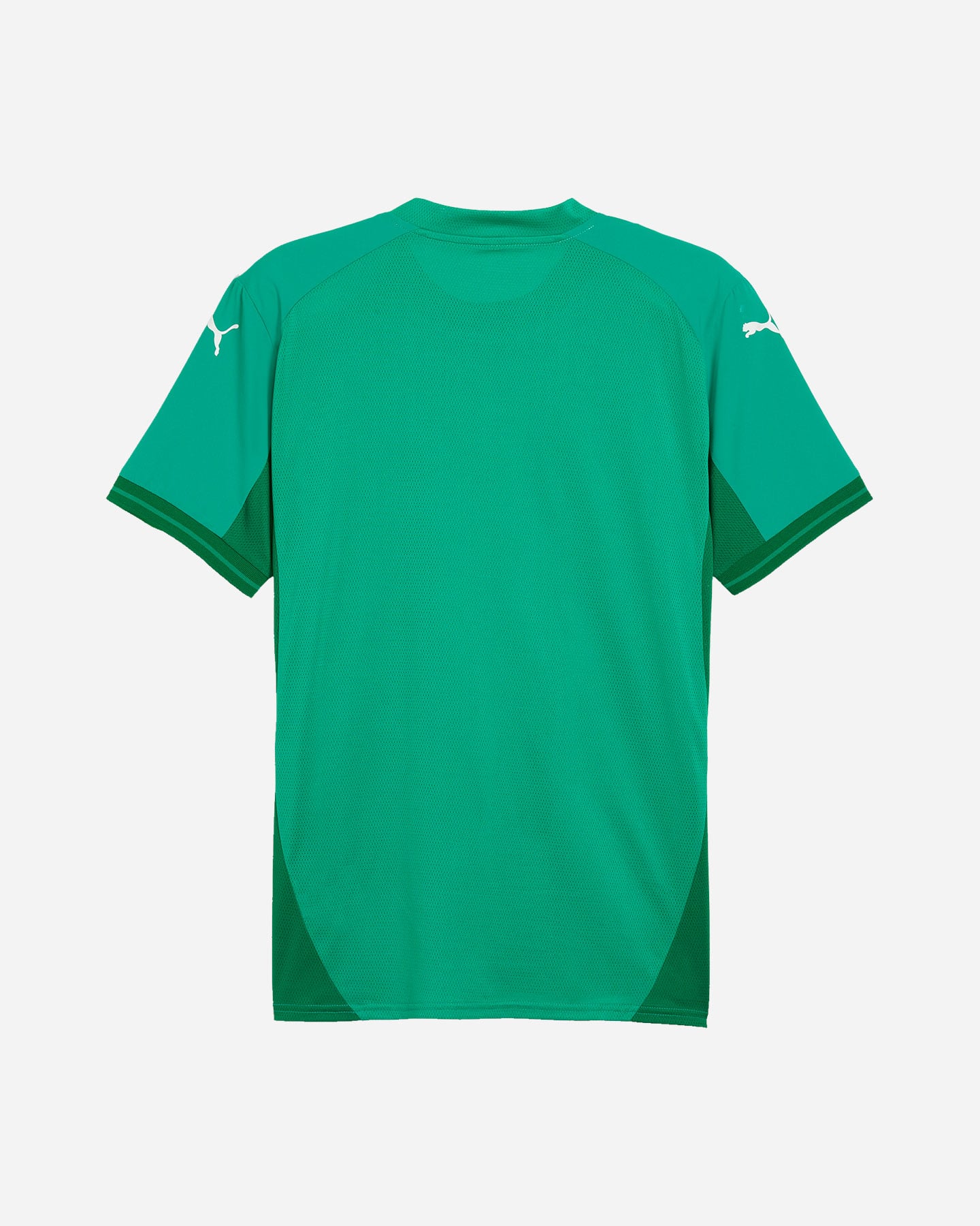 Maglia calcio PUMA TEAMFINAL M - Verde - 1 | Cisalfa Sport