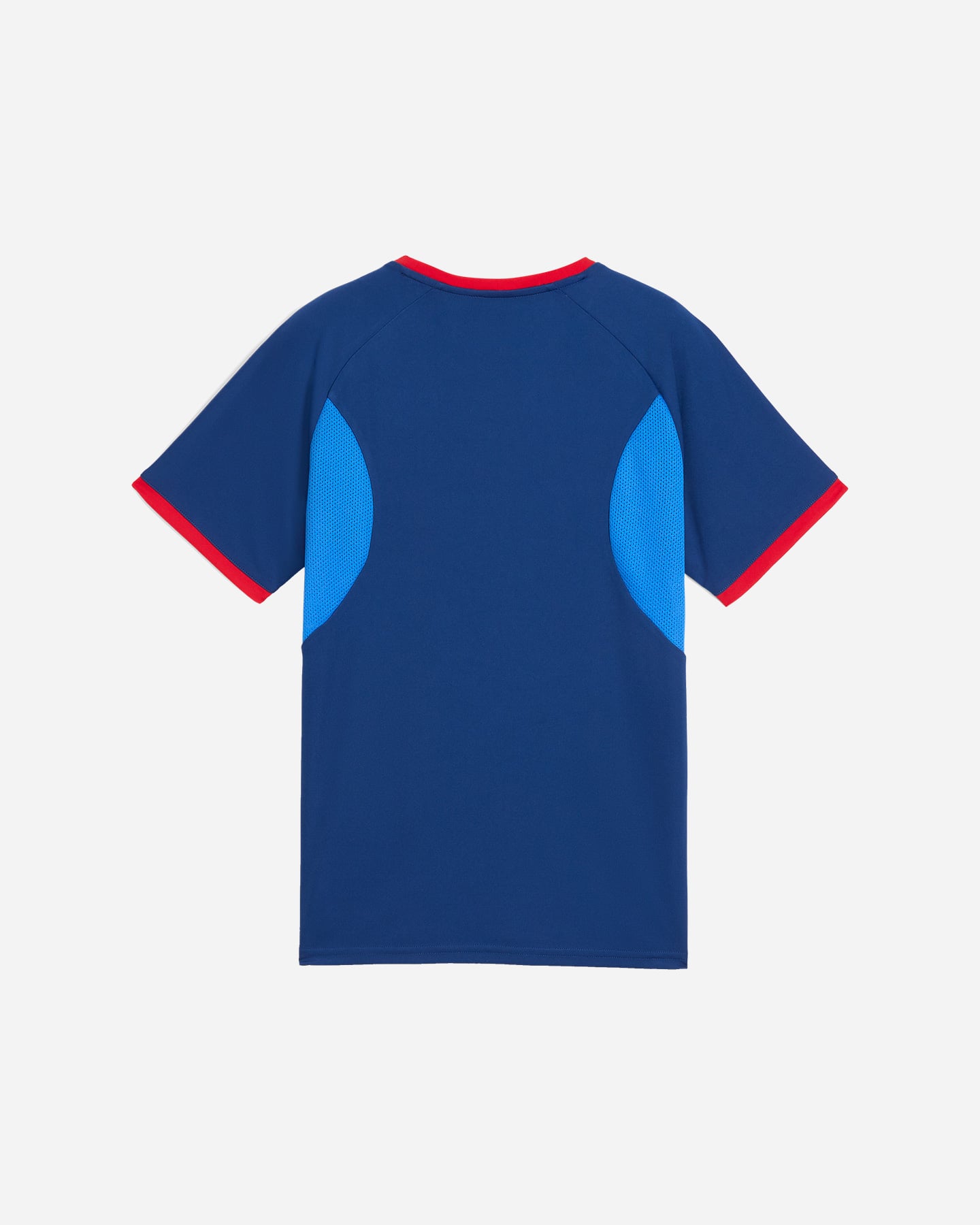 Maglia calcio PUMA NEYMAR JR PLAYMAKER JR - Color mix - 1 | Cisalfa Sport