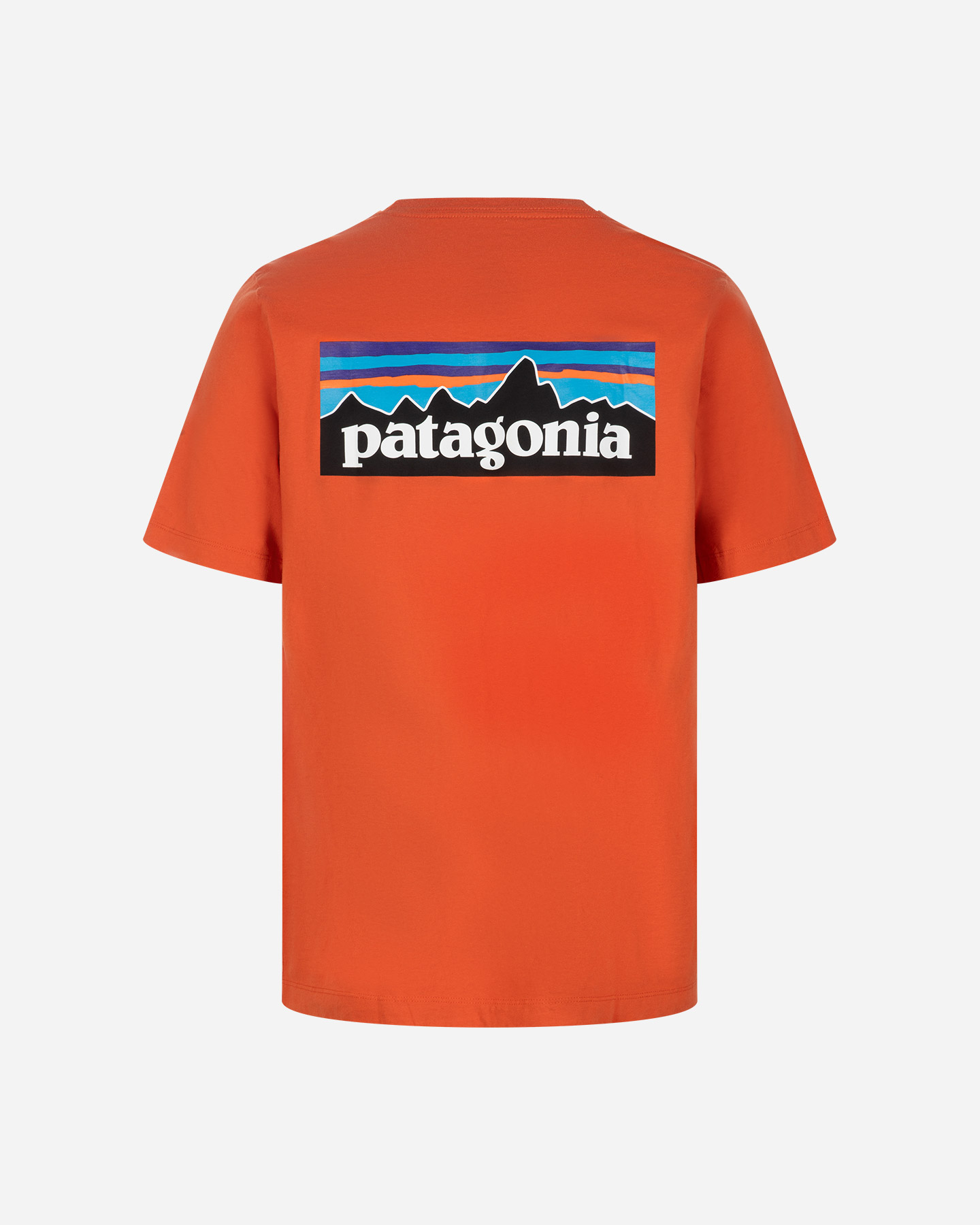 T-shirt PATAGONIA P-6 LOGO M - Arancione - 1 | Cisalfa Sport