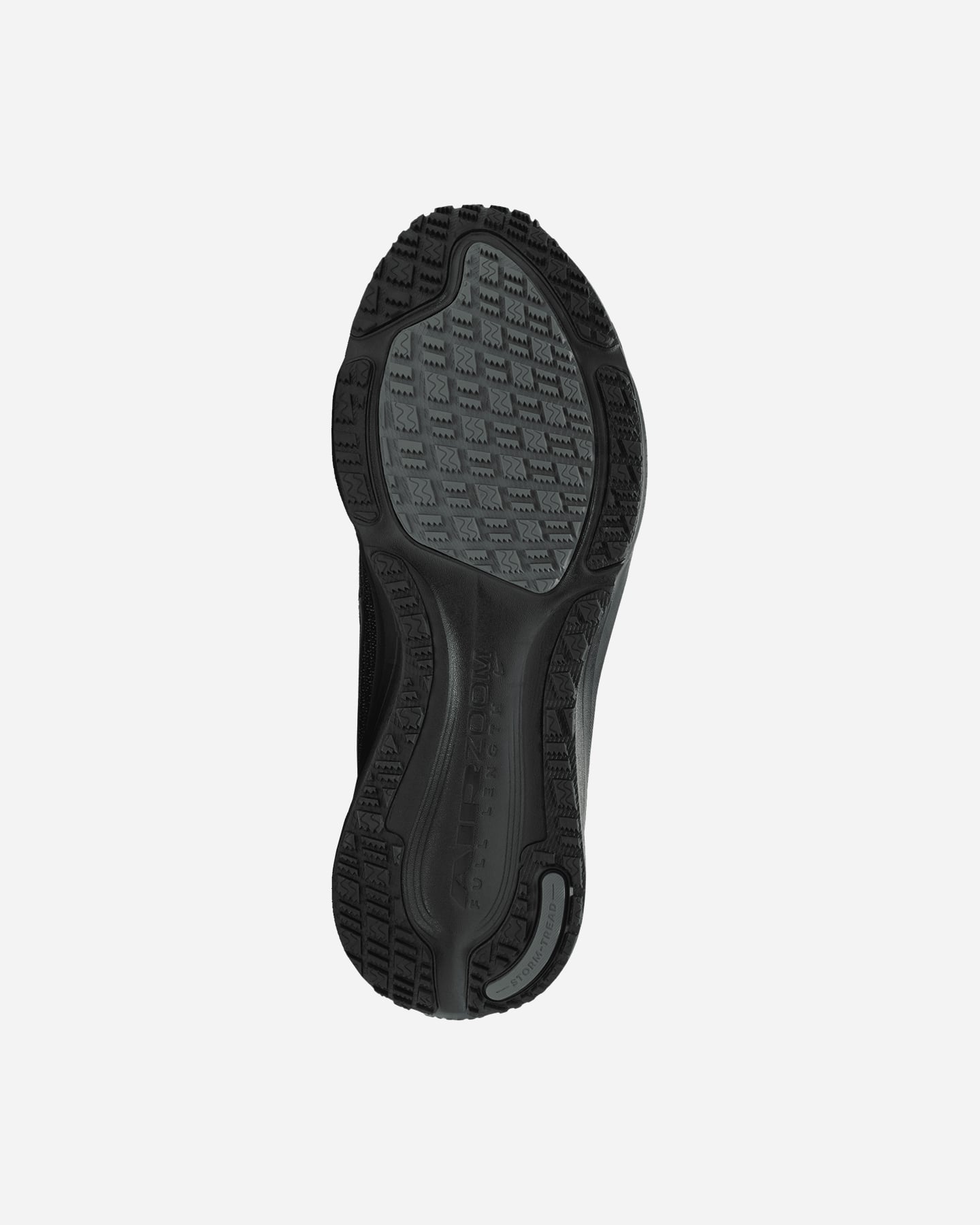 Scarpe running NIKE PEGASUS 42 GORE TEX W - 2 | Cisalfa Sport