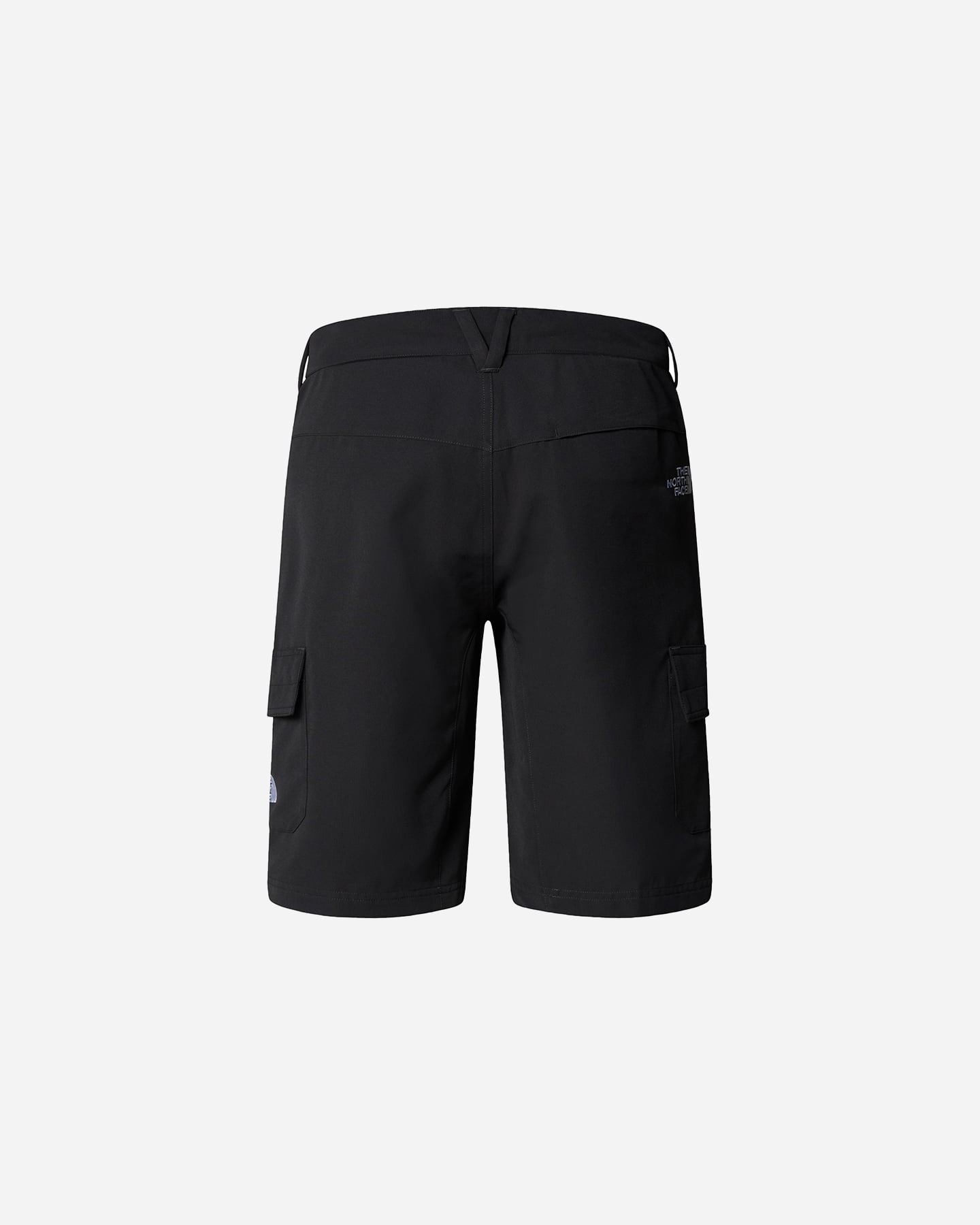 Pantaloncini THE NORTH FACE HORIZON M - Grigio - 1 | Cisalfa Sport