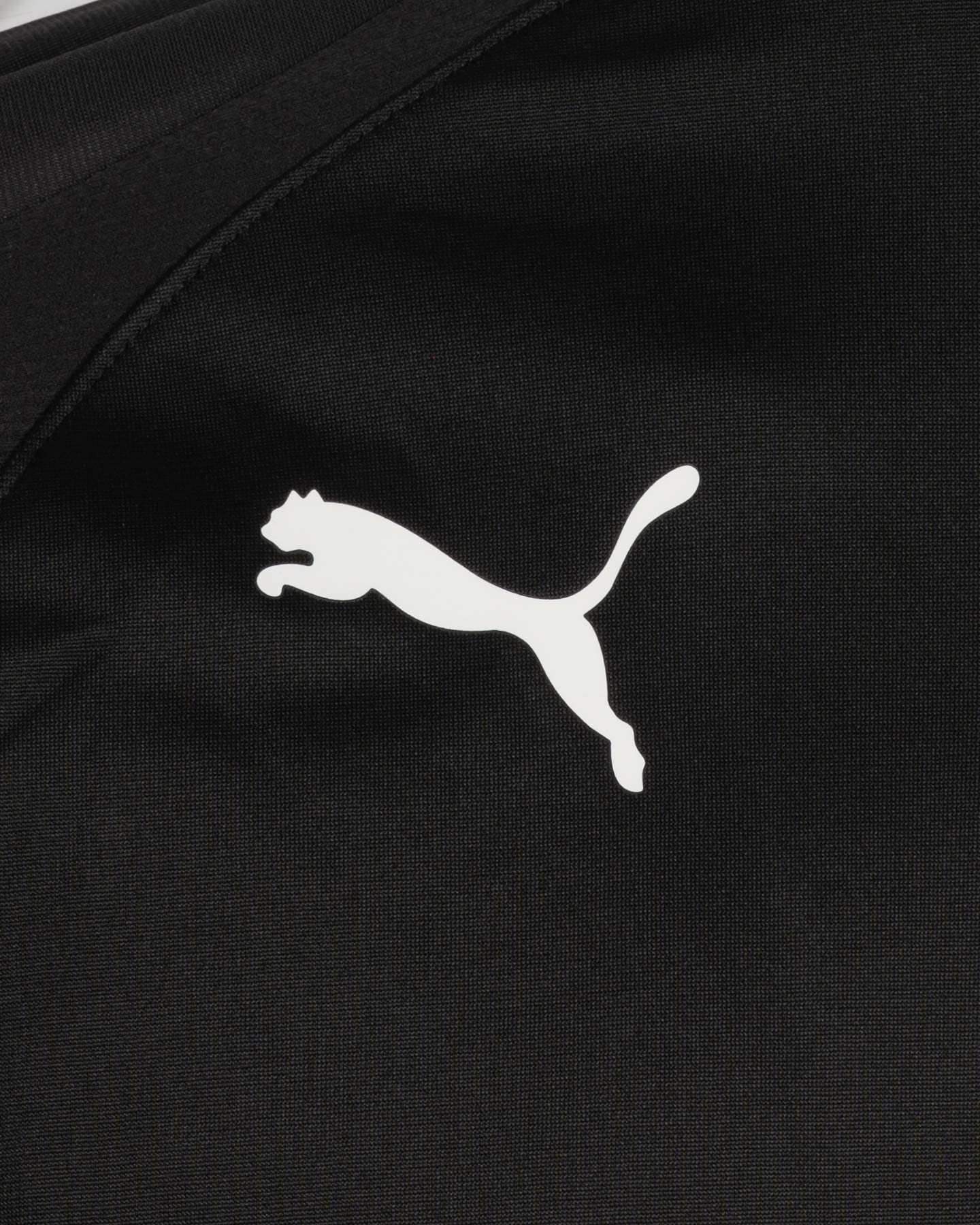 Maglia calcio PUMA TEAMLIGA M - Nero - 2 | Cisalfa Sport