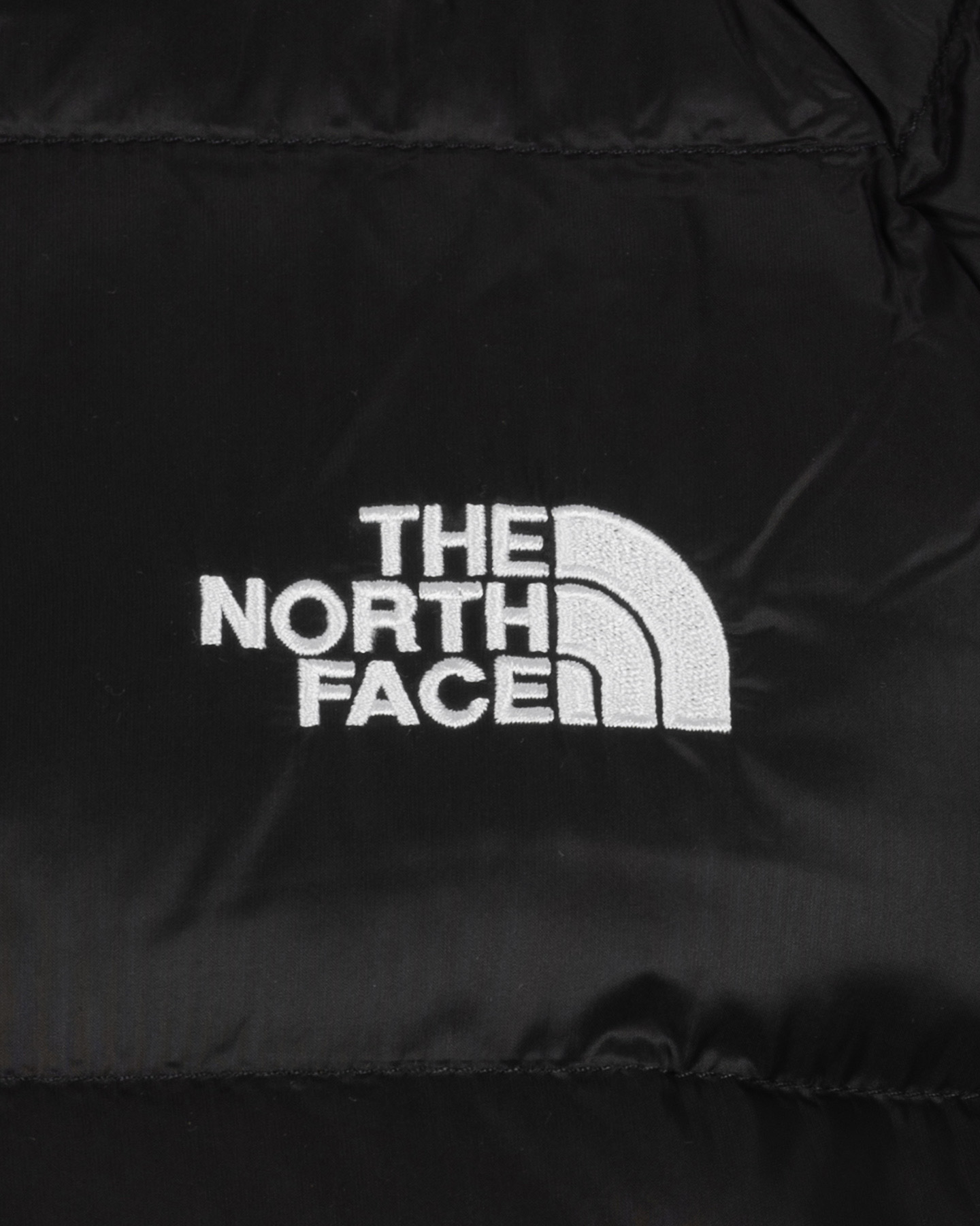 Piumino THE NORTH FACE HYDRENALITE W - Nero - 2 | Cisalfa Sport