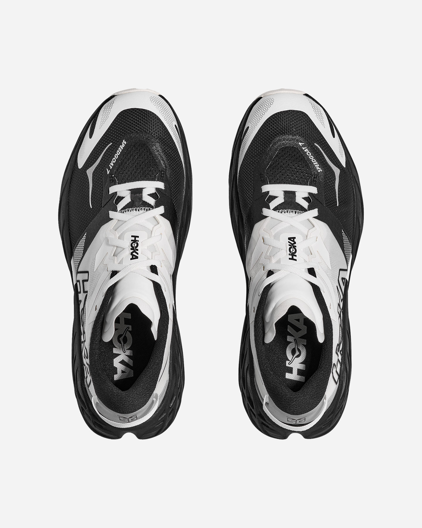 Scarpe trail HOKA SPEEDGOAT 7 M - 15 | Cisalfa Sport