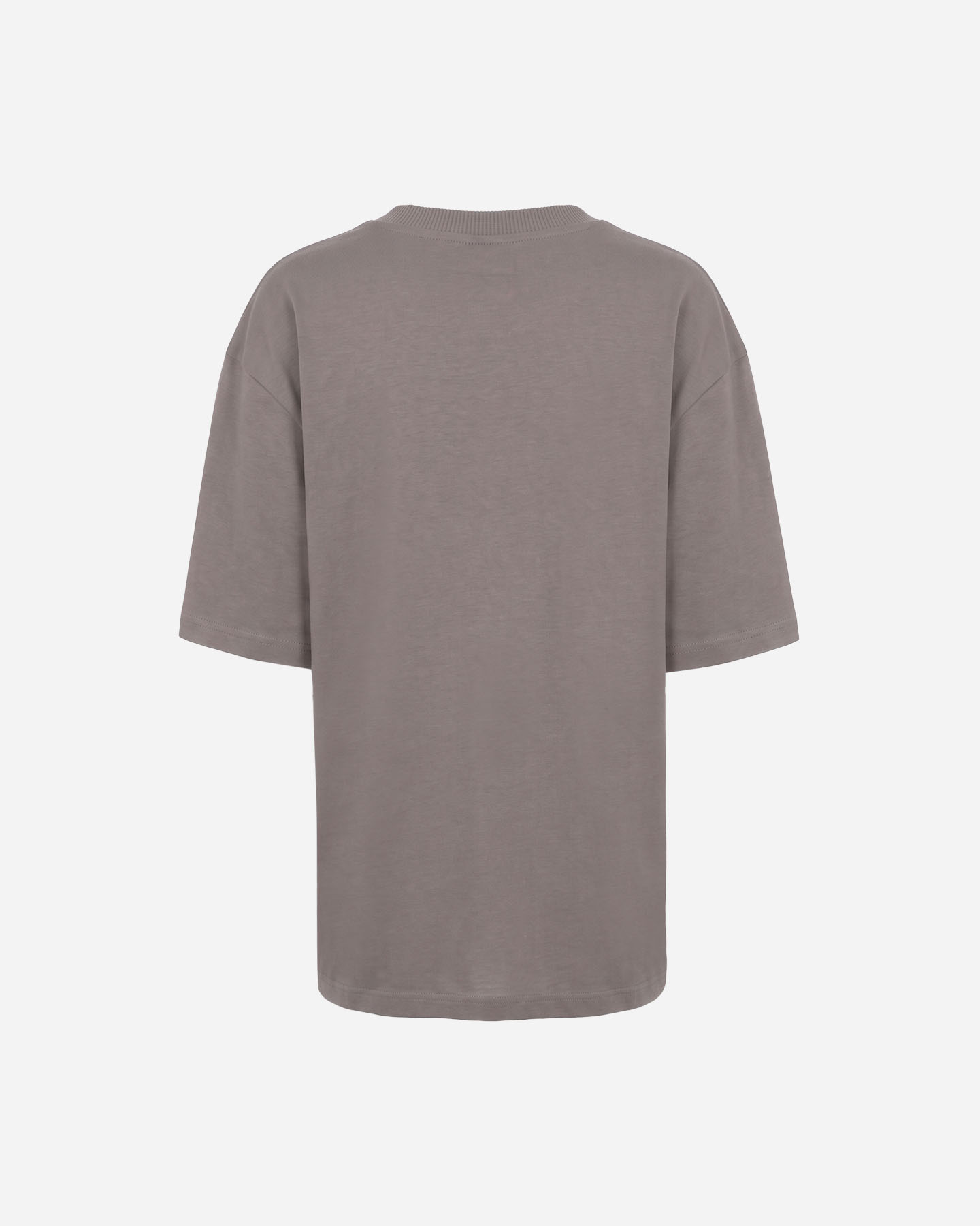 T-shirt DACK'S ESSENTIAL W - Marrone - 1 | Cisalfa Sport