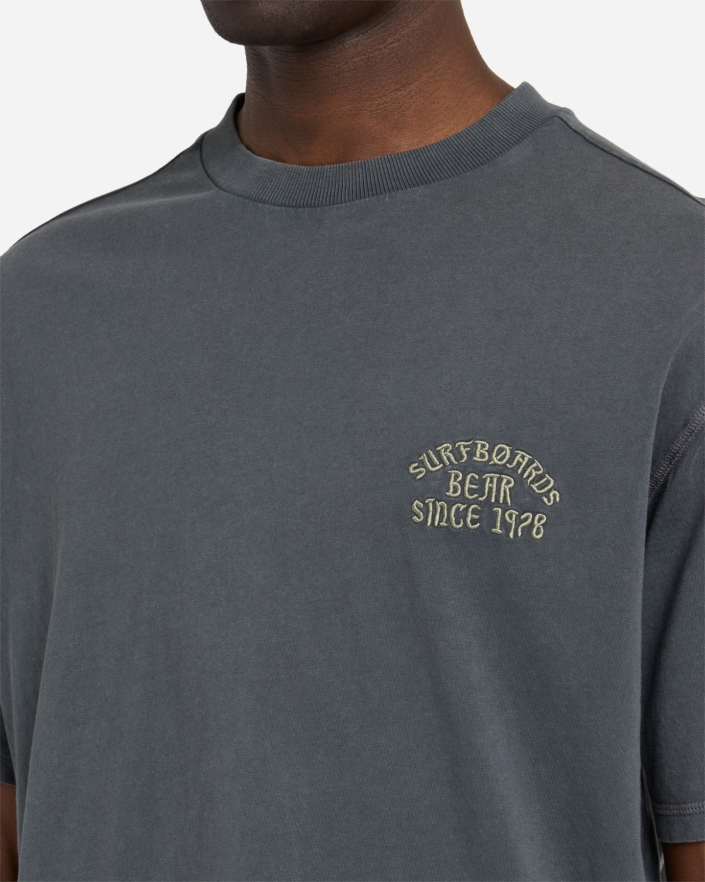 T-shirt BEAR WAVES AFTER WAVES M - Grigio - 5 | Cisalfa Sport