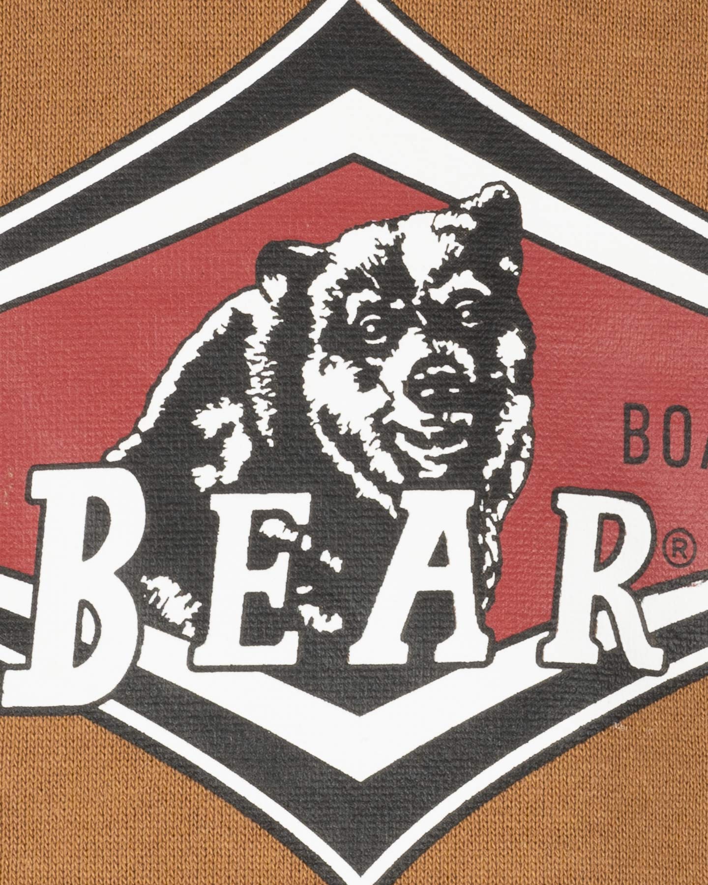 Felpa BEAR ICON JR - Marrone - 2 | Cisalfa Sport