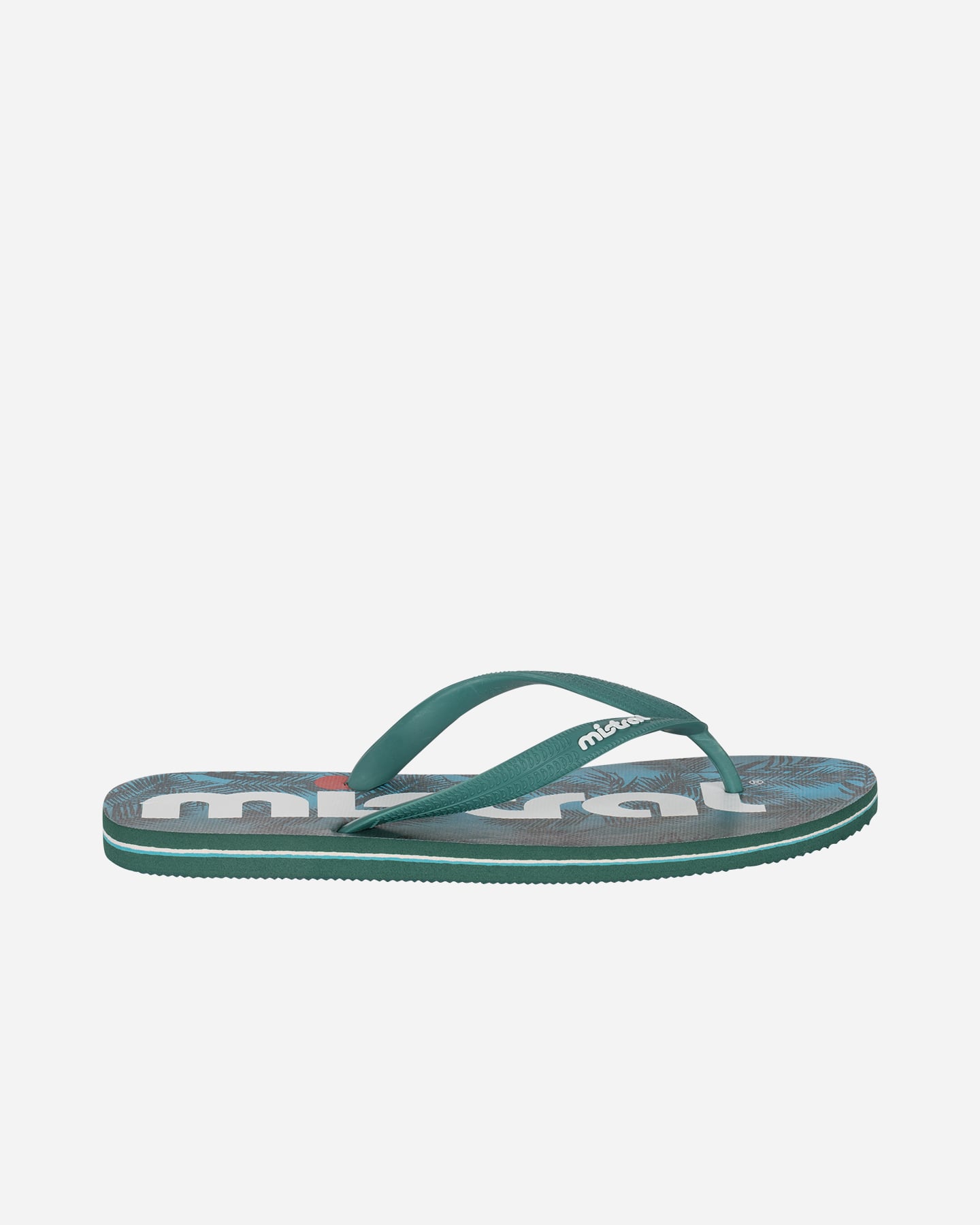 Infradito MISTRAL BLUE PALM M - Color mix - 2 | Cisalfa Sport