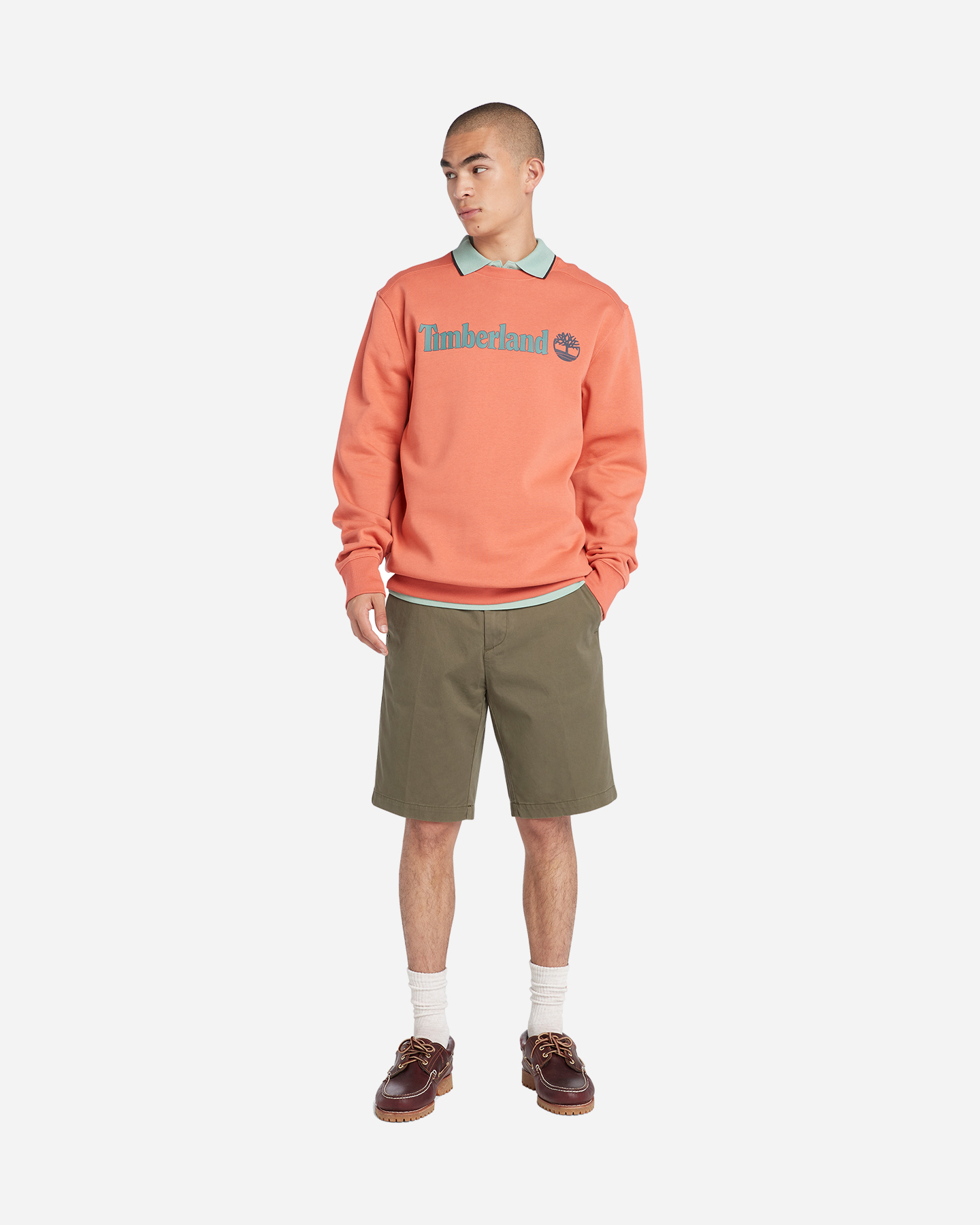 Bermuda TIMBERLAND CHINO M - Verde - 3 | Cisalfa Sport