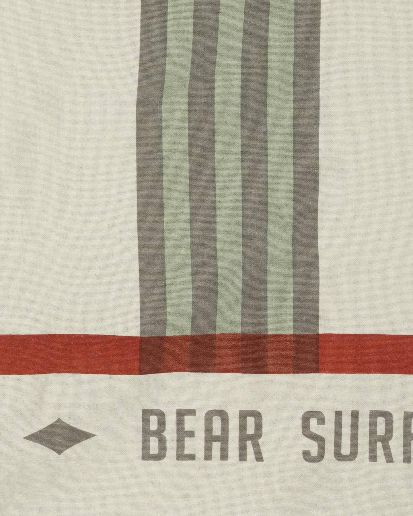 Telo mare BEAR STRIPES  - Verde - 1 | Cisalfa Sport