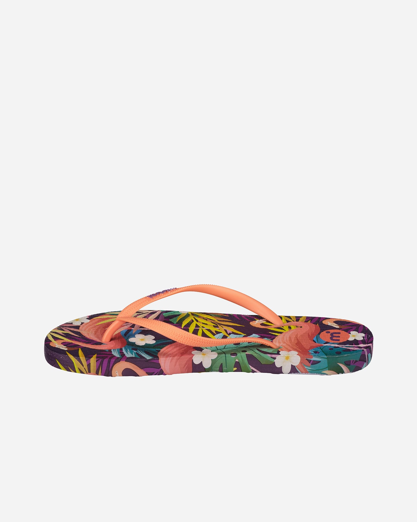 Infradito MISTRAL PRINT W - Color mix - 4 | Cisalfa Sport