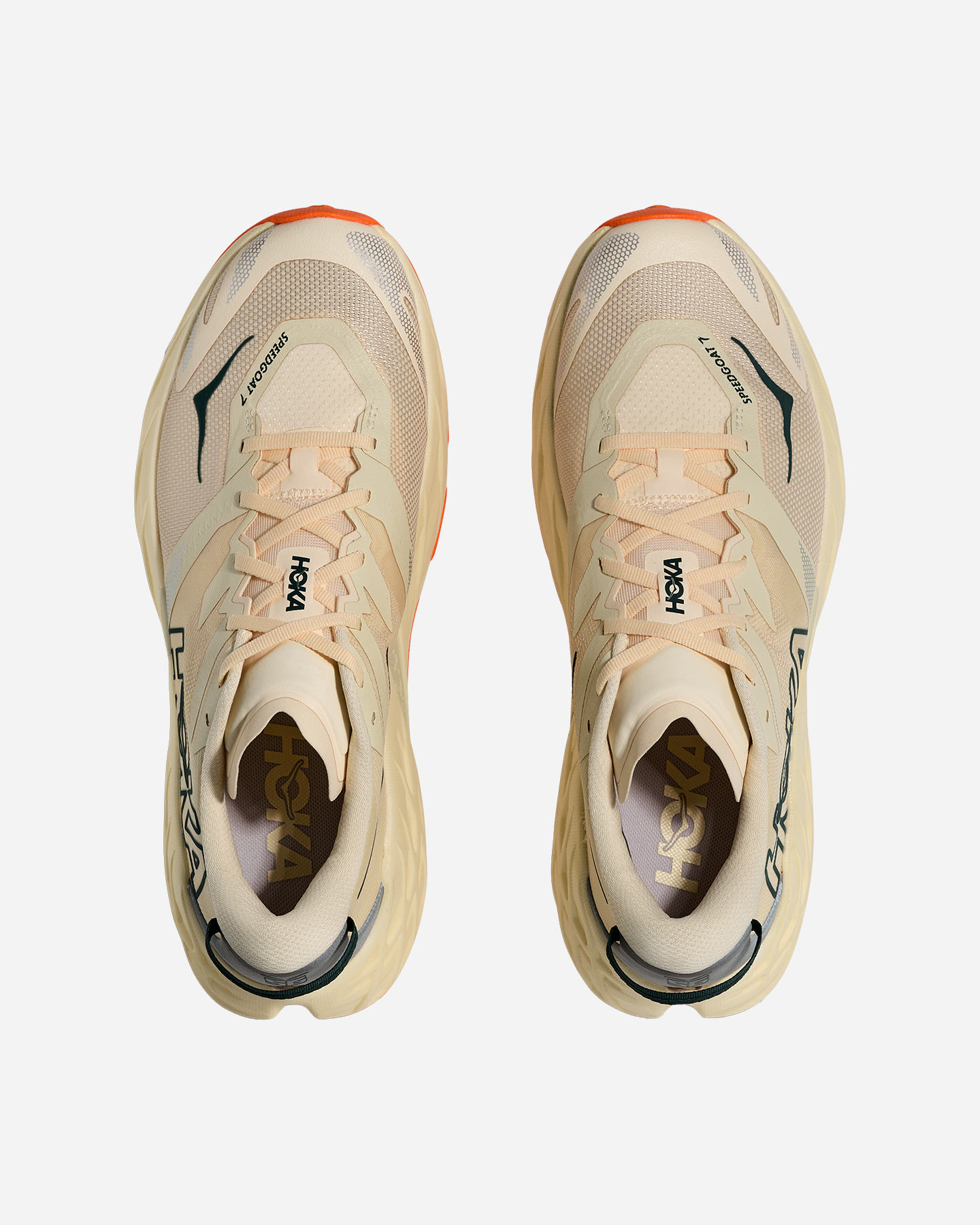 Scarpe trail HOKA SPEEDGOAT 7 M - 27 | Cisalfa Sport