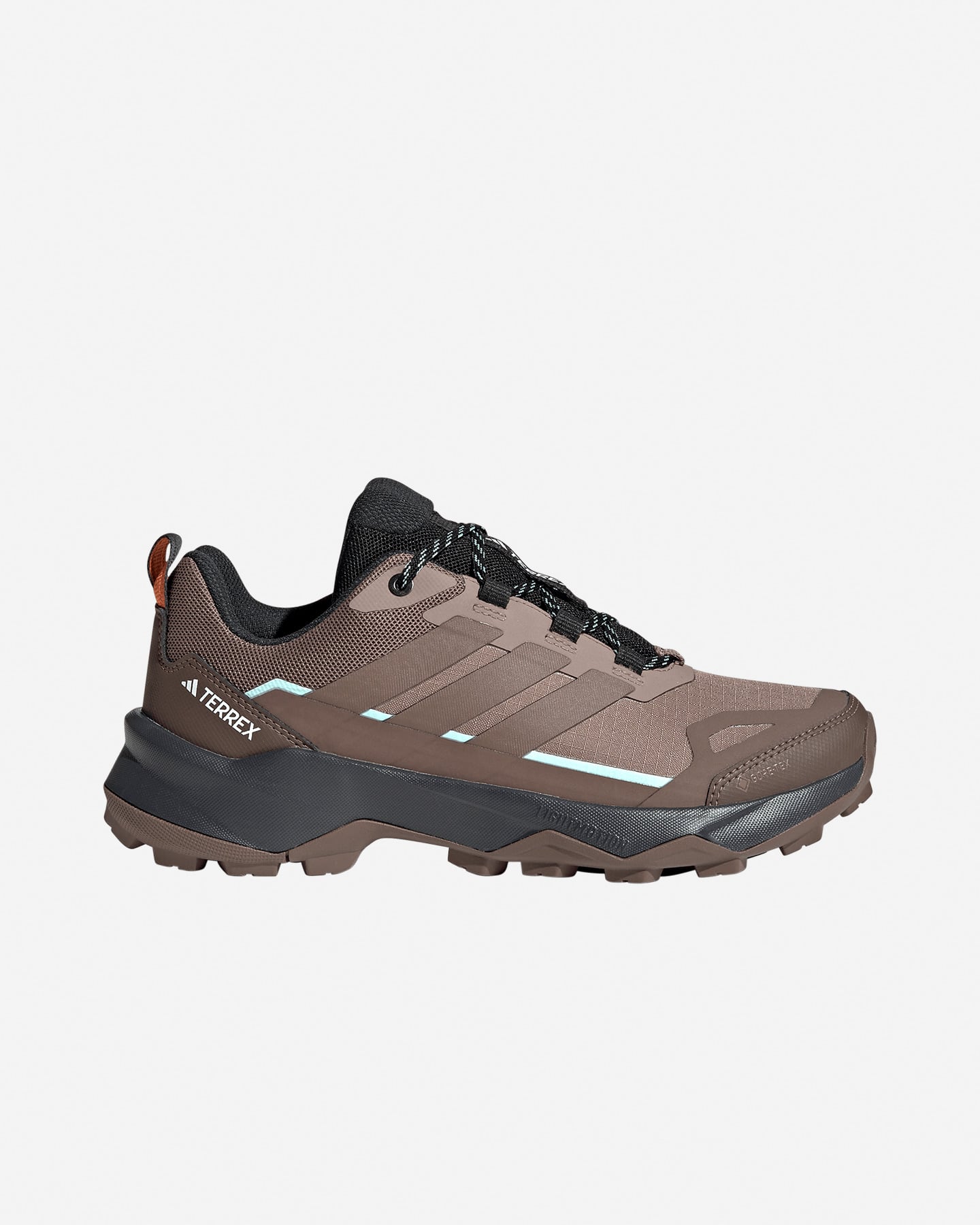 TERREX SKYCHASER AX5 LOW GTX W