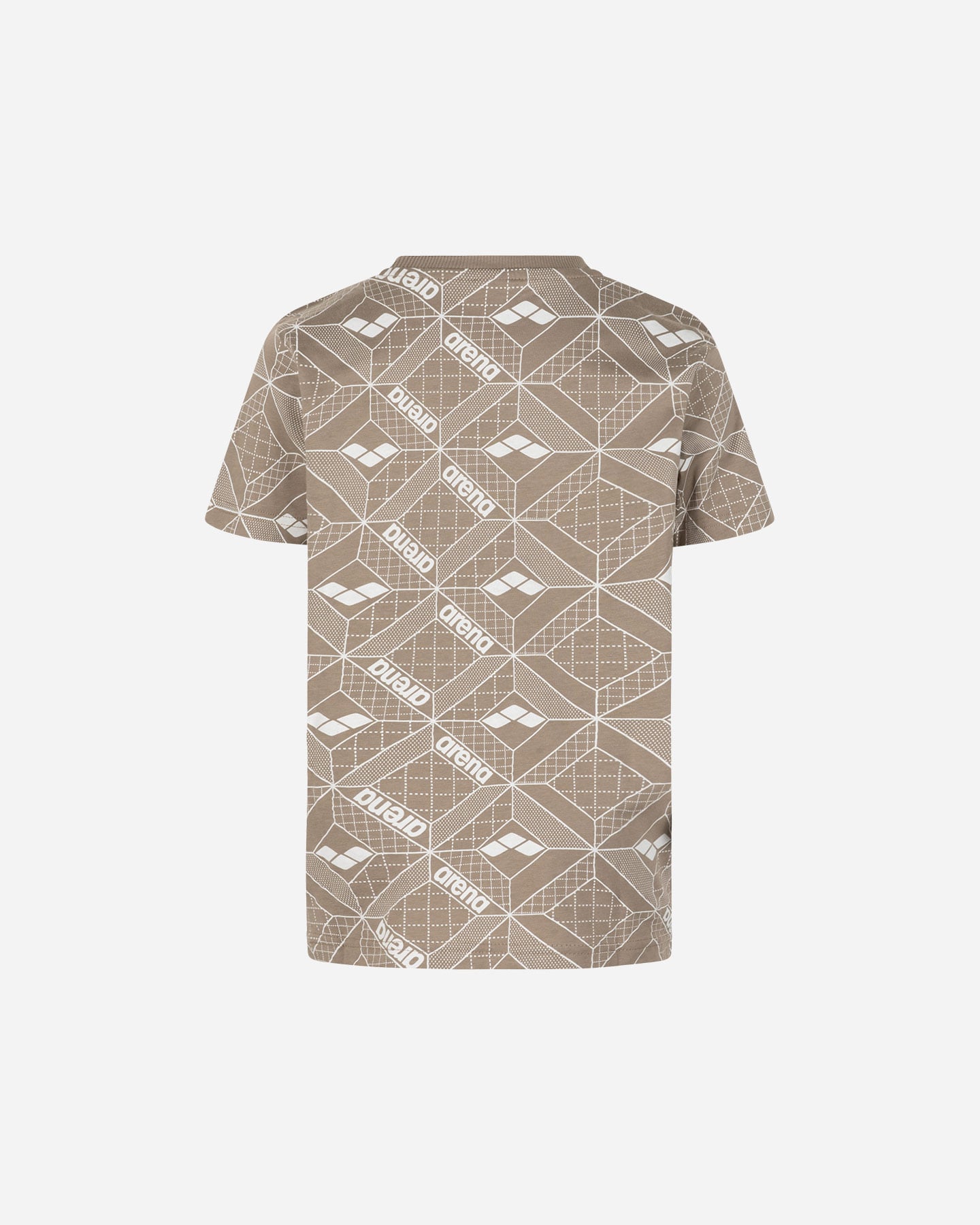 T-shirt ARENA PRINTED JR - Marrone - 1 | Cisalfa Sport