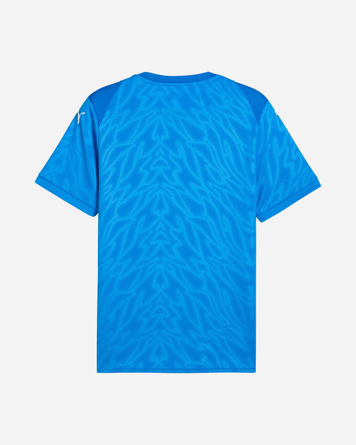Maglia calcio PUMA TEAMCUP M - Blu royal - 1 | Cisalfa Sport