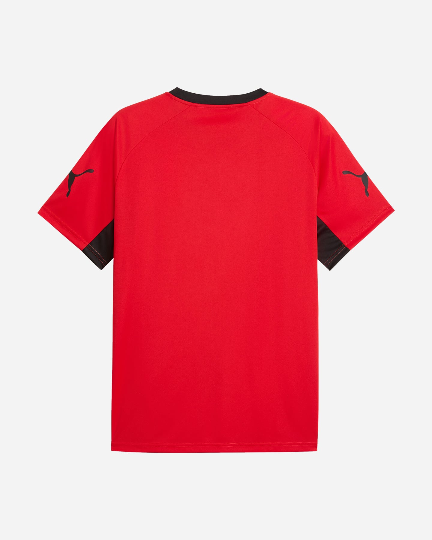 Maglia calcio PUMA INDIVIDUALLIGA M - Rosso - 1 | Cisalfa Sport