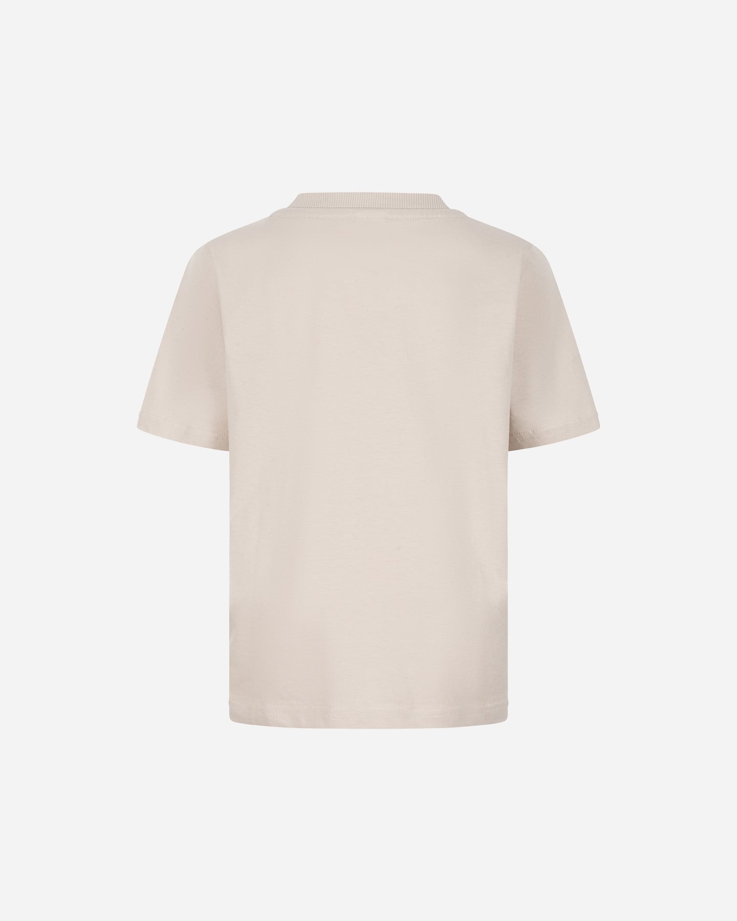 T-shirt ARENA ATHLETIC JR - Grigio - 1 | Cisalfa Sport