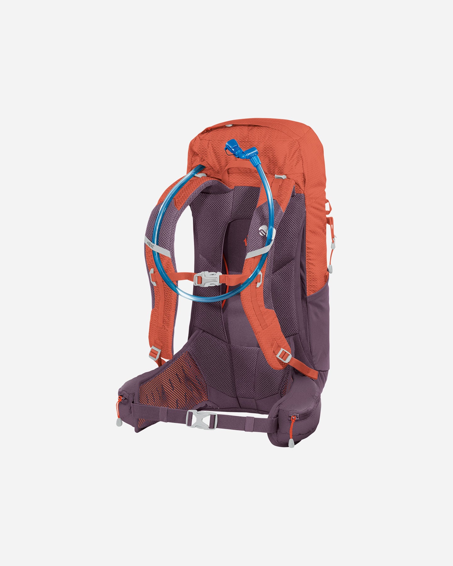 Zaino escursionismo FERRINO HIKEMASTER 24 W - Viola - 5 | Cisalfa Sport