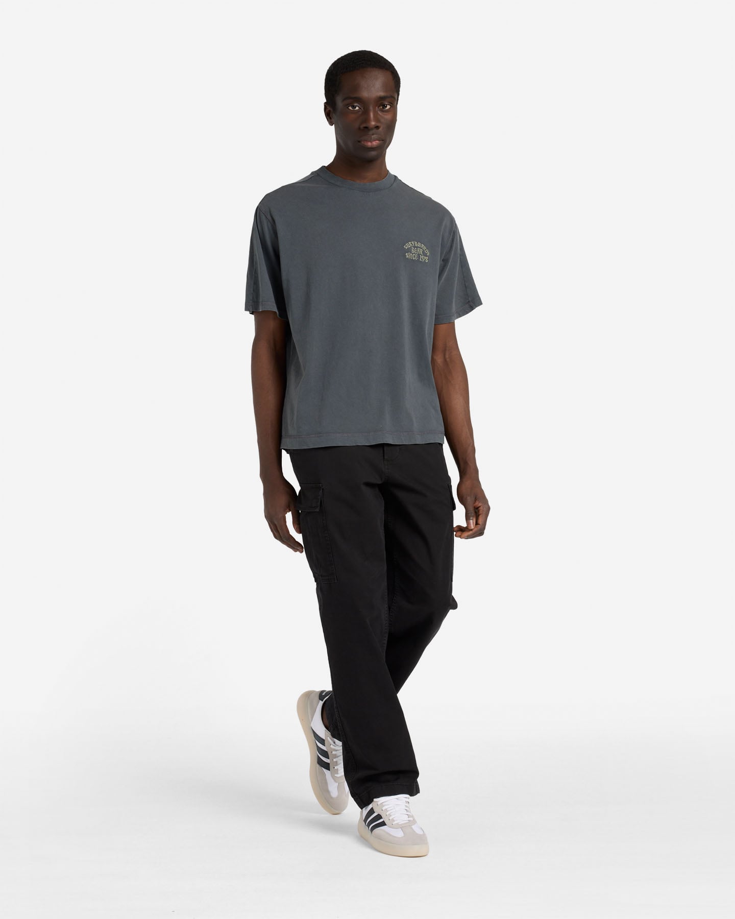 T-shirt BEAR WAVES AFTER WAVES M - Grigio - 2 | Cisalfa Sport