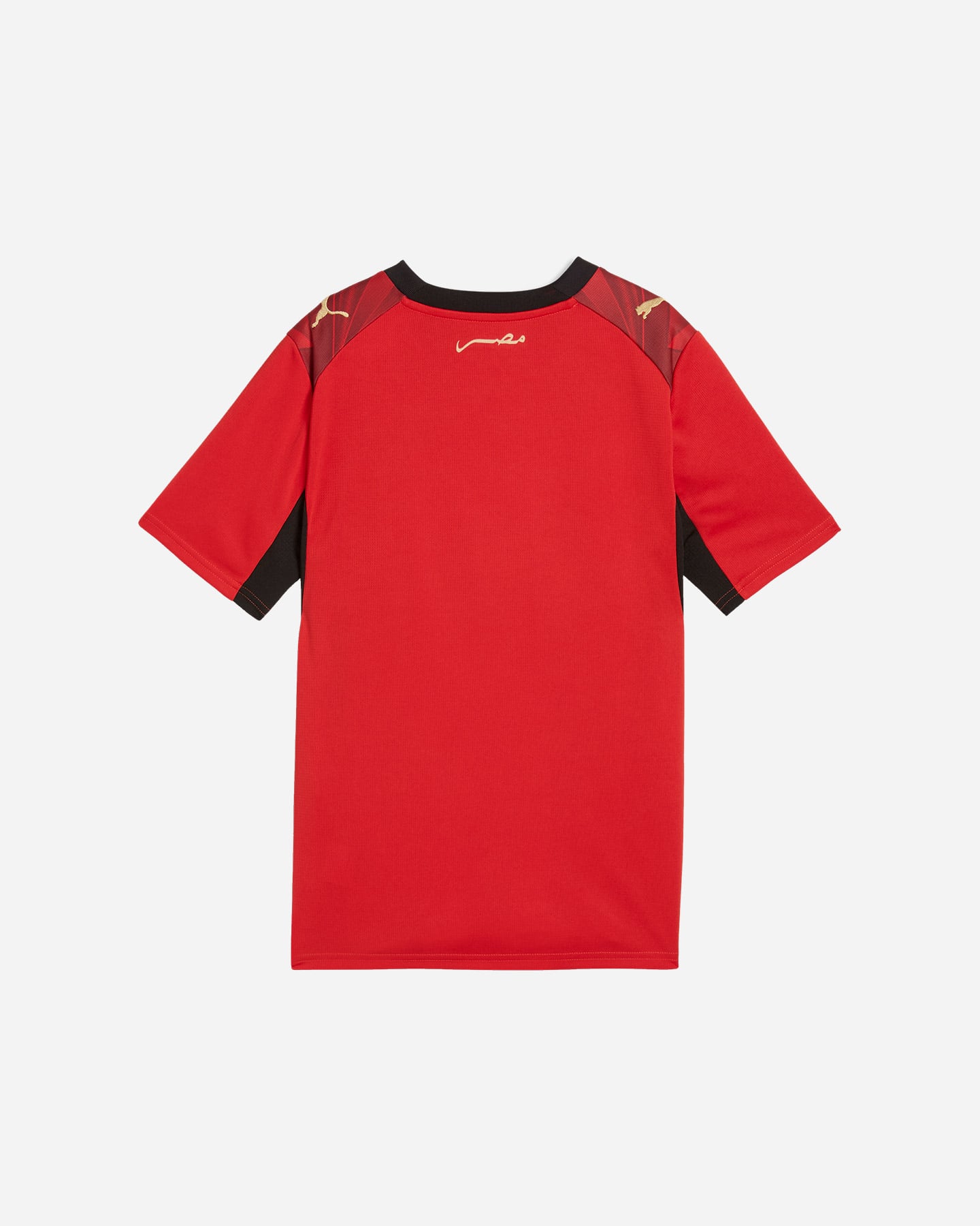 Maglia calcio ufficiale PUMA EGITTO HOME 26 JR - Color mix - 1 | Cisalfa Sport