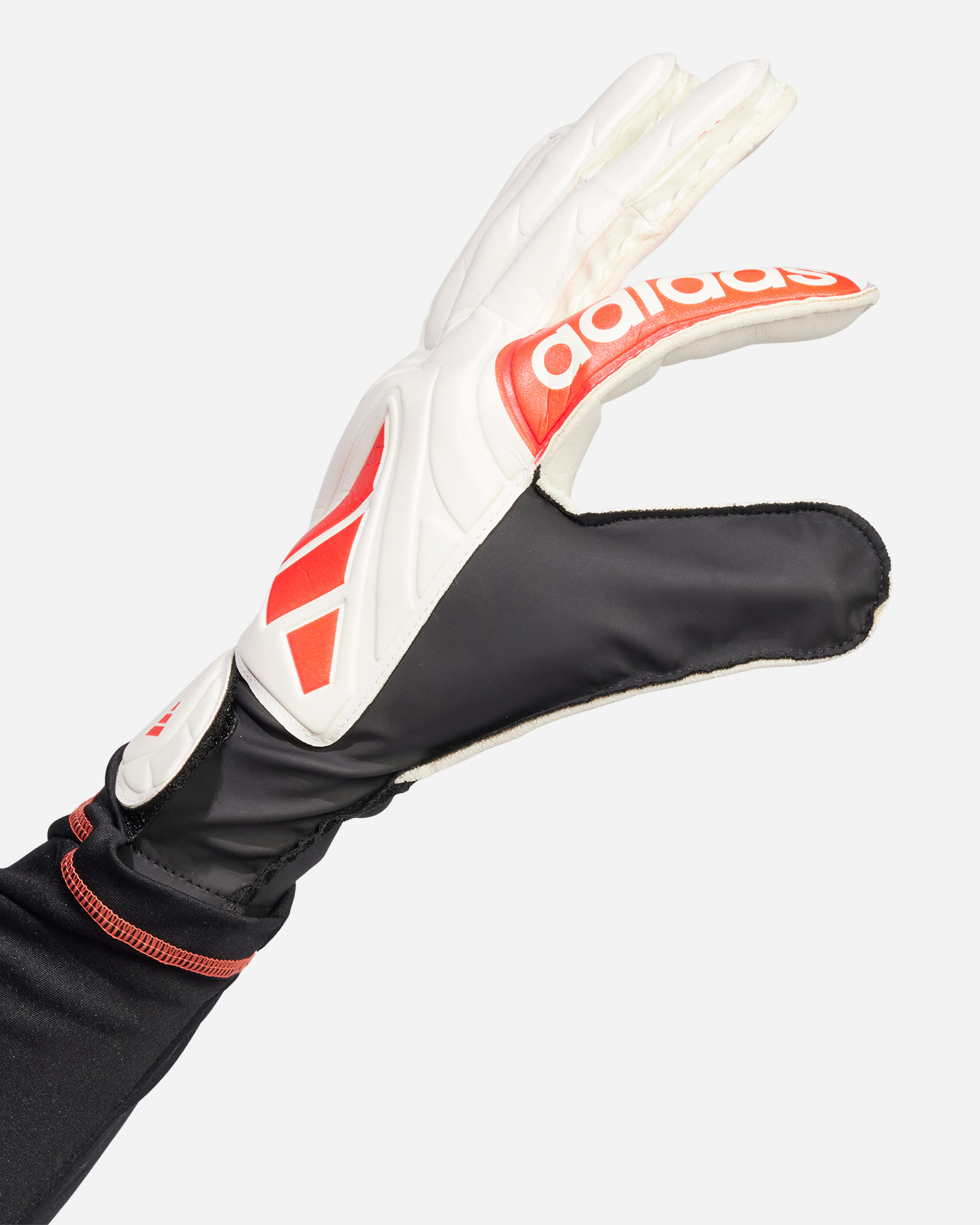 Guanti portiere ADIDAS COPA GL CLUB M - Color mix - 2 | Cisalfa Sport