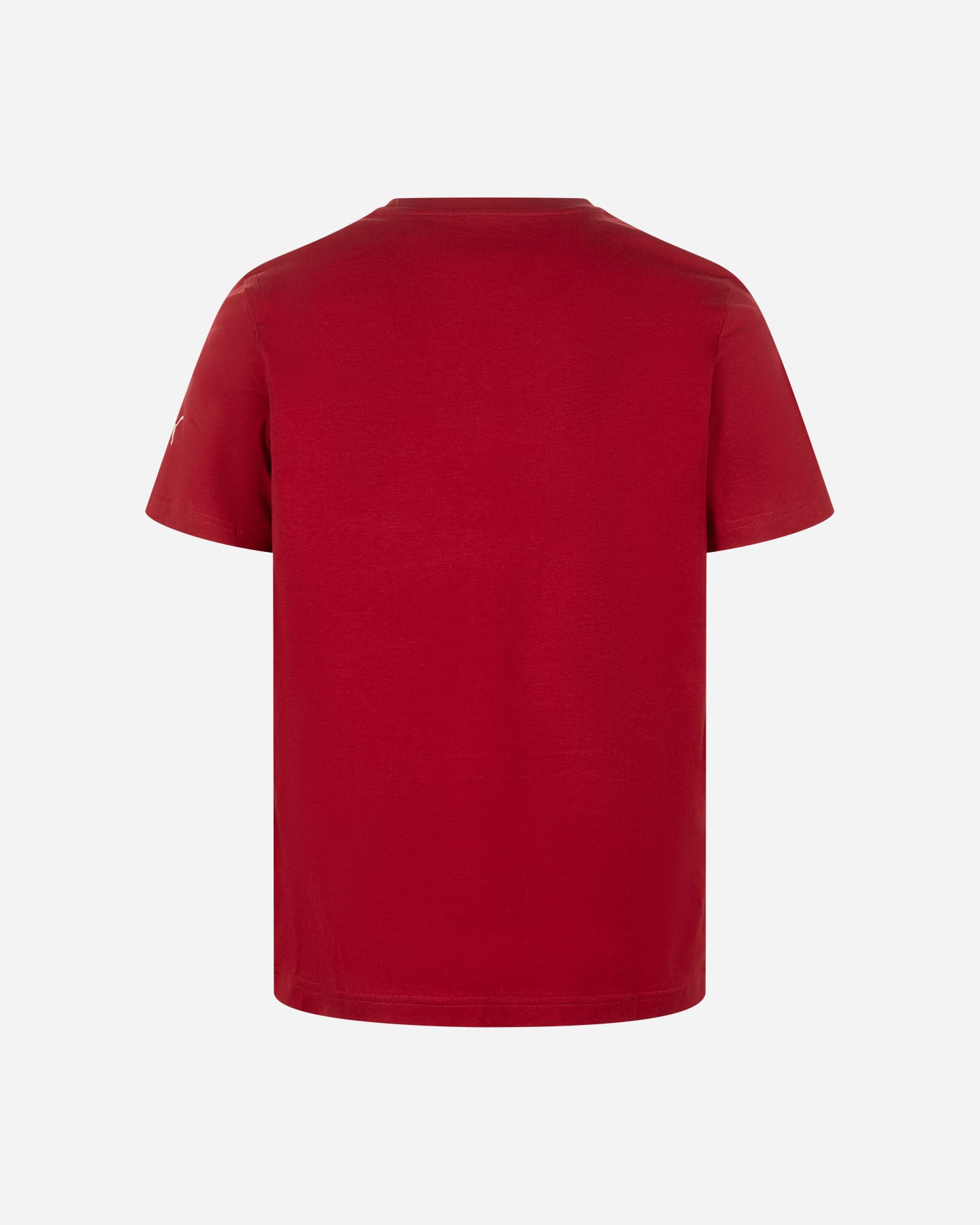 T-shirt PUMA VARSITY SCUDETTO M - Rosso - 1 | Cisalfa Sport