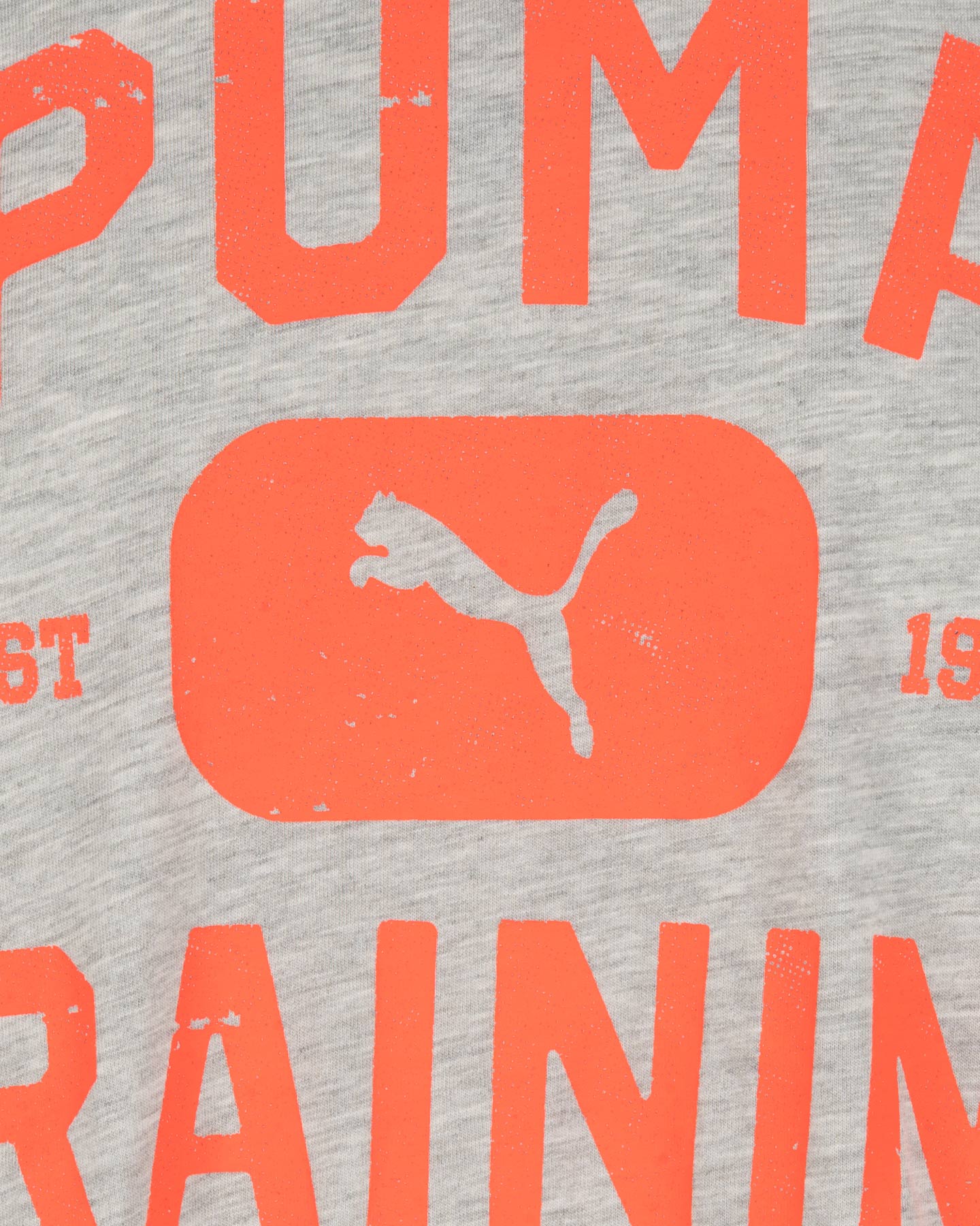 T-shirt training PUMA BASIC M - Grigio - 2 | Cisalfa Sport