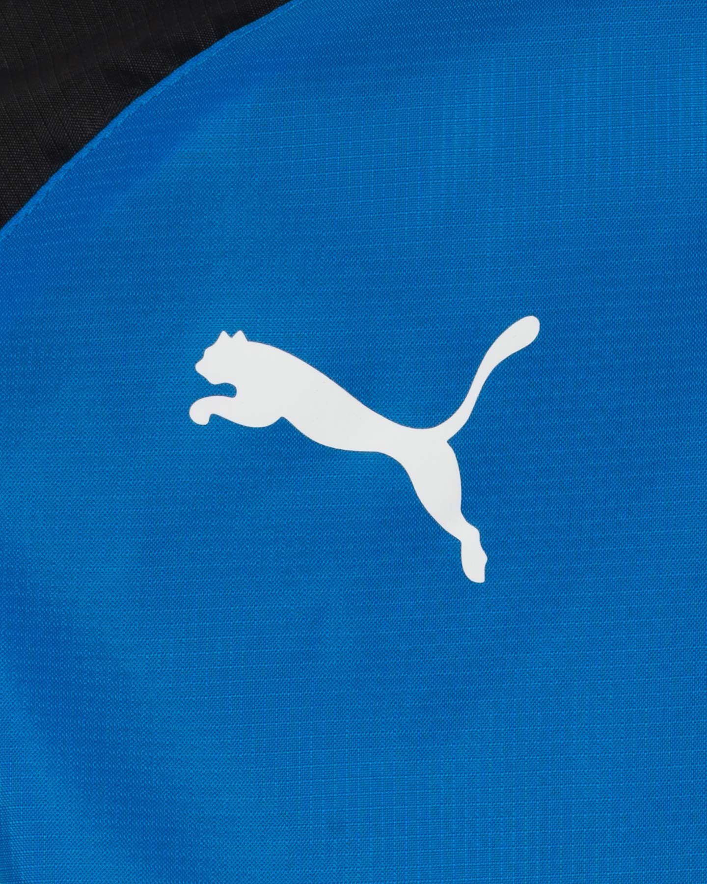 Giacca PUMA TEAMLIGA ALL WEATHER JR - Blu - 2 | Cisalfa Sport